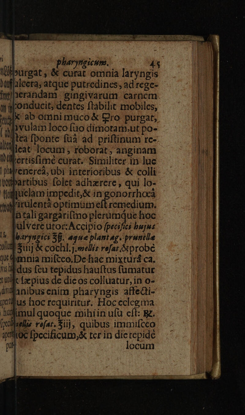 | pharyngicuns. 48 purgat , &amp; curat omnia laryngis Wiffaleera; atque putredines; ad rege- imnerandam 'gingivarum carnem. y gponducit, dentes ftabilit mobiles, Miti X ab omnimuco &amp; Bro purgat, [i Jvulam loco fuo dimotar-.ut po- tea fponte füà ad priftinum rc-- il leat locum; roborat, anginam Wikertisfime curat. Similiter.in luc | hilrenerea, ubi interioribus &amp; colli partibus folet adhzrere , qui lo- (üffielam impedit,&amp; ingonorrhocà irulenta optimüm eft remedium. i taligargarifmo plerumque hoc iulvére utorzAccipio fpecsfics bujus !&amp; TMargugict $8. aque plant ag. pruntle Sij &amp; cochl.j.melis refar.&amp;probé qj $mnia mifcco.De hac mixturá ca. 'silldus fcu tepidus hauftus fumatur tulle fzepius de dic os colluatur, in o- üniynibus enim pharyngis affedi- plus hoc requiritur. Hoc eclegma lufimul quoque mihiin ufu cít: g. fxcilsells rofa. Sij, quibus immifcco inltoc fpecificum; tcr in dietepide pn locum
