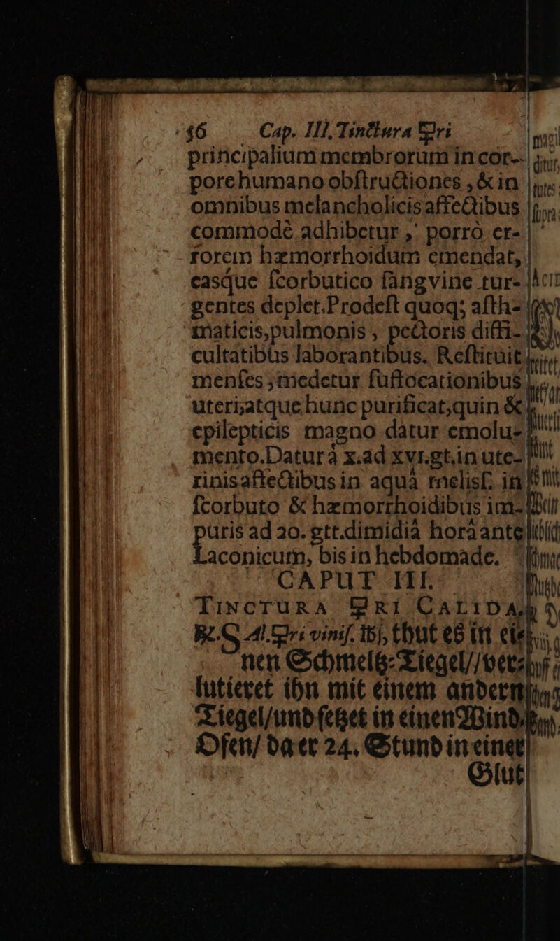 (46. Cap. IIl, Tintlura U2ri i principalium membrorum in cor-- |; porehumanoobftru&amp;ionces ,&amp;in |, omnibus mcelancholicis affeQibus |; commodé adhibetur ;' porro cr- | rorem hzmorrhoidum emendat, | casque fcorbutico fangvine tur- |Ac! gentes dcplet.Prodeft quoq; afth- maticis,pulmonis ; pedoris difti- | cultatibüs laborantibus. Reftitüit |, meníces ;triedetur füftocationibus |, uteri;atque bunc purificatquin &amp;J/ ^ cpilepticis magno datur emoluz ^ mento.Daturà x.ad xvr.gt.in ute- ripisafteQibus in aquà rnelisf. in fcorbuto &amp; hzmorrhoidibus im- 1 püris ad 3o. gtt.dimidià horáantelilli Laconicurn, bisin hebdomade. ij CAPUT III. : nen ComeliziegeU/Getapr lutíecet. ibn mit Cimem anbertg A iegel/umb feet in ciengDin? $fqm/ oat 24. Gtunb in m ut || |
