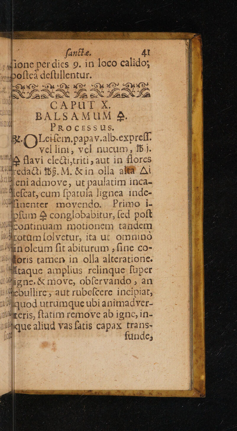 i fantle. 4I 4Aione per dics 9. in loco calido; apoftcà defüllentur. Y: EY EN K9^ qw) Lew ROS YN e ic net A n A PT X  — BALSAMUM A^ | PRocrssus BL (O)LeHfem.papav.alo .exprelt. vel Jini ; vcl nucum, Ib j. e flavi cle&amp;itriti; aut in flores VI edact Ib8. M. &amp;in. ol la a Ai eni admove, ut paula atim inca- dcftat, c cum fparula lignea 1nde- Me inenter moven ido. Primo i- Ipfum a Cong at Oba! bitur, [ed polt ill-ontinuam motio nem tandem | Icotam Lolvetur, a ut omnino Jitnoleum fit abiturum ;fine co- Moris tamen in olla alteratione. Witaquc amplius relinque füper LR lgno &amp; move, ob (ervadtd ,an m debut lire; aut rubefcere incipiat, nm quod t utrumque ubi animadver- y reris, ftatim remove ab igno, in- iique aliud r'asfatis capax trans- h funde;