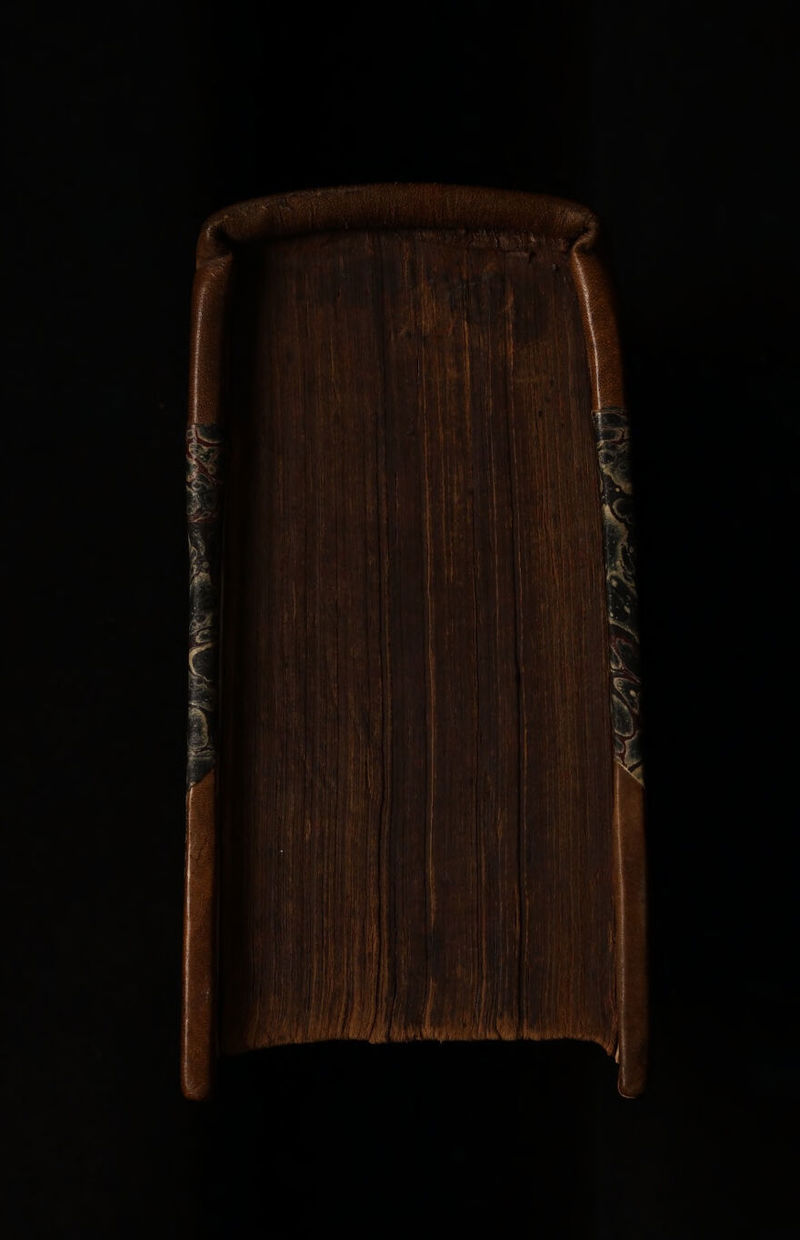 No text description is available for this image