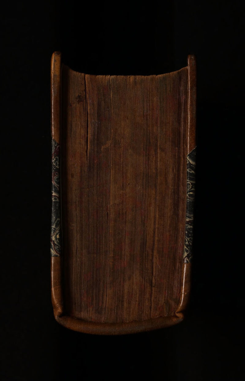 No text description is available for this image