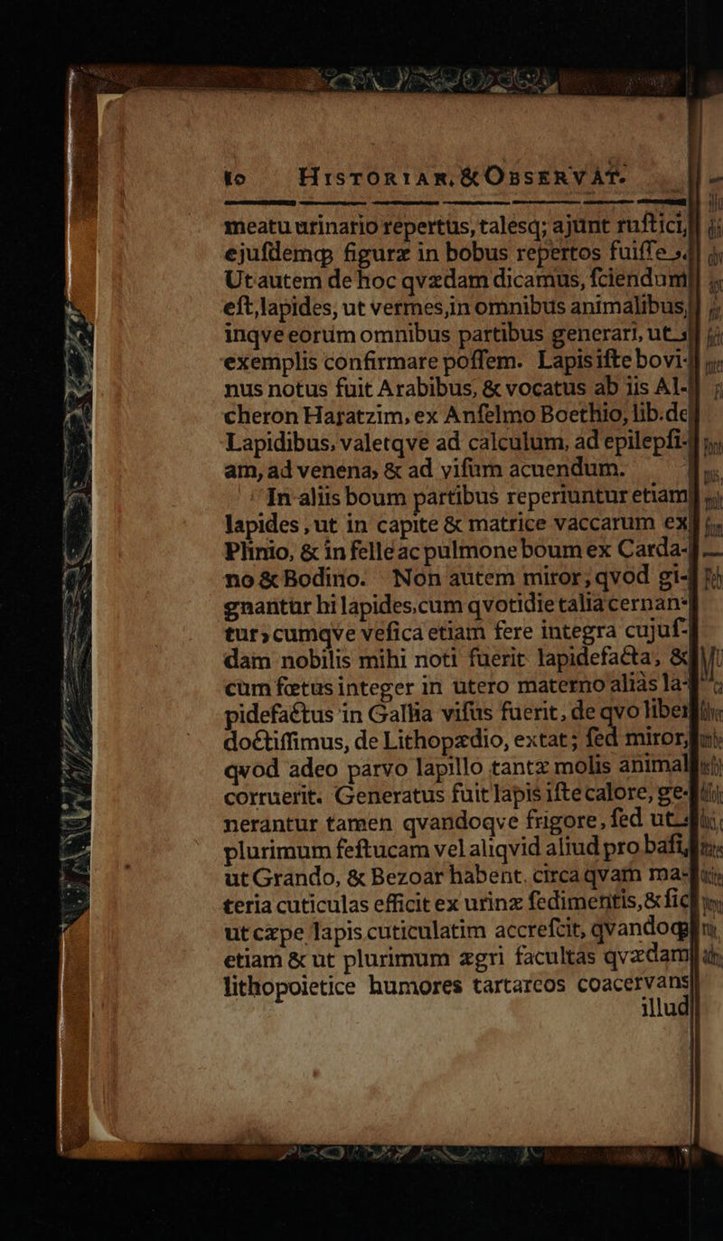 t — HisrTORIAR, KOBSERVÀAT.. meatu urinario repertus, talesq; ajunt rufticil ji ejuflemq figurz in bobus repertos fuiffe »/ Utautem dehoc qvzdam dicamus, fciendumi eft, lapides, ut vermes;in omnibus animalibus, inqve eoriim omnibus partibus generar), ut 4 exemplis confirmare poffem. Lapisifte bovi- nus notus fuit Arabibus, &amp; vocatus ab iis A1-] cheron Haratzim, ex Anfelmo Boethio, lib.de| Lapidibus, valetqve ad calculum, ad epilepfi-] i; am, ad venena; &amp; ad yifüm acuendum. 1. In aliis boum partibus reperiuntur etiam| lapides, ut in capite &amp; matrice vaccarum ex| Plinio, &amp; infelleac pulmoneboum ex Carda-] no&amp;Bodino. Non autem miror; qvod gi- gnantur hi lapides.cum qvotidie talia cernan* tur; cumqve vefica etiam fere integra cujuf- dam nobilis mihi noti fuerit lapidefacta; &amp; cüm fetus integer in utero materno aliàs la- pidefaétus in Gallia vifus fuerit, de qvo liber doétiffimus, de Lithopzdio, extat; fed miror, qvod adeo parvo lapillo tantx molis animalis; corruerit. Generatus fuit lapis iftecalore, gei) nerantur tamen qvandoqve frigore, fed ut-4fi: plurimum feftucam vel aliqvid aliud pro bafigns: ut Grando, &amp; Bezoar habent. circa qvam maf teria cuticulas efficit ex urinz fedimentis,&amp; fic ut cxpe lapis cuticulatim accrefcit, qvandoqglm. etiam &amp; ut plurimum zgri facultas qvzdamph lithopoietice humores tartareos coacervans illud | 