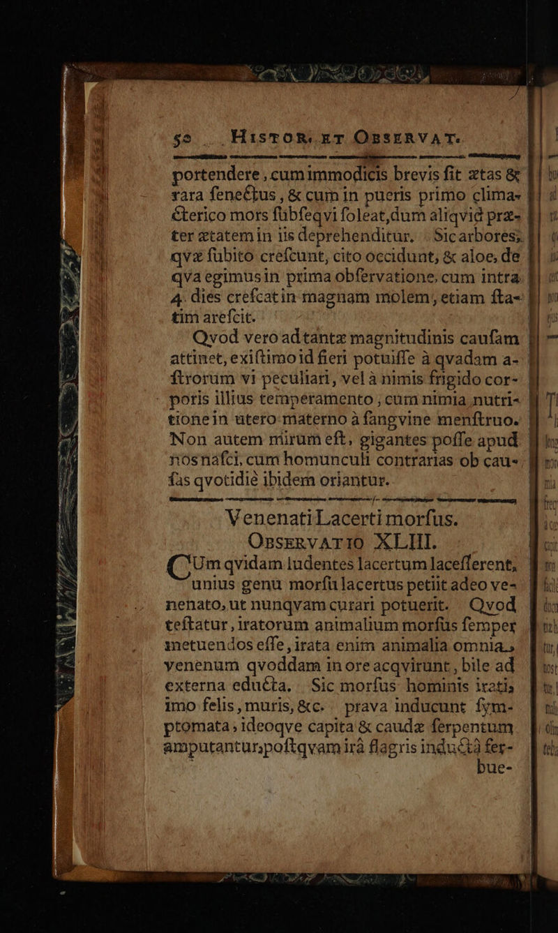 A v v ly, 7 Hc oh e. 3 ais F &amp; x X ». Ww oiu NE Jud $5 . HisTOR,. E T OaSERVAT. | portendere , cum immodicis brevis fit ztas&amp; | rara feneCtus , &amp; cum in pueris primo clima f €terico mors fübfeqvi foleat,dum aliqvid prz | | | d hi | u ti ( iii ter etatemin iis deprehenditur, |. Sicarbores; qvz fubito crefcunt, cito occidunt, &amp; aloe, de qvaegimusin prima obfervatione, cum intra. 4. dies crefcatin magnam molem, etiam fta- tim arefcit. Qvod veroad tantz magnitudinis caufam attinet, exiftimoid fier potuiffe à qvadam a- ftrorum vi peculiari, vel à nimis frigido cor- | - poris illius temperamento , cum nimia nutri- 9 T! tionein utero materno à fangvine menftruo. | Non autem mirum eft, gigantes poffe apud | nosnafci, cum homuncuh contrarias ob caus | fas qvotidié ibidem oriantur. E q14 Vuesins muB VAIUUSCECIRETI VenenatiLacerti morfus. OnszRvATIO XLII. ( Umqvidam ludentes lacertum lacefferent, unius genu morfü lacertus petiit adeo ve- nenato,ut nunqvamcurari potuerit. Qvod teftatur, iratorum animalium morfus femper snetuendos effe, irata enim animalia omnia.; yenenum qvoddam in ore acqvirunt , bile ad externa eduéta, Sic morfus hominis itat; imo felis, muris, &amp;c- . prava inducunt. fym- ptomata; ideoqve capita &amp; caudz ferpentum € amputantunpoftqvam irà flagris inductà fer- bue- 