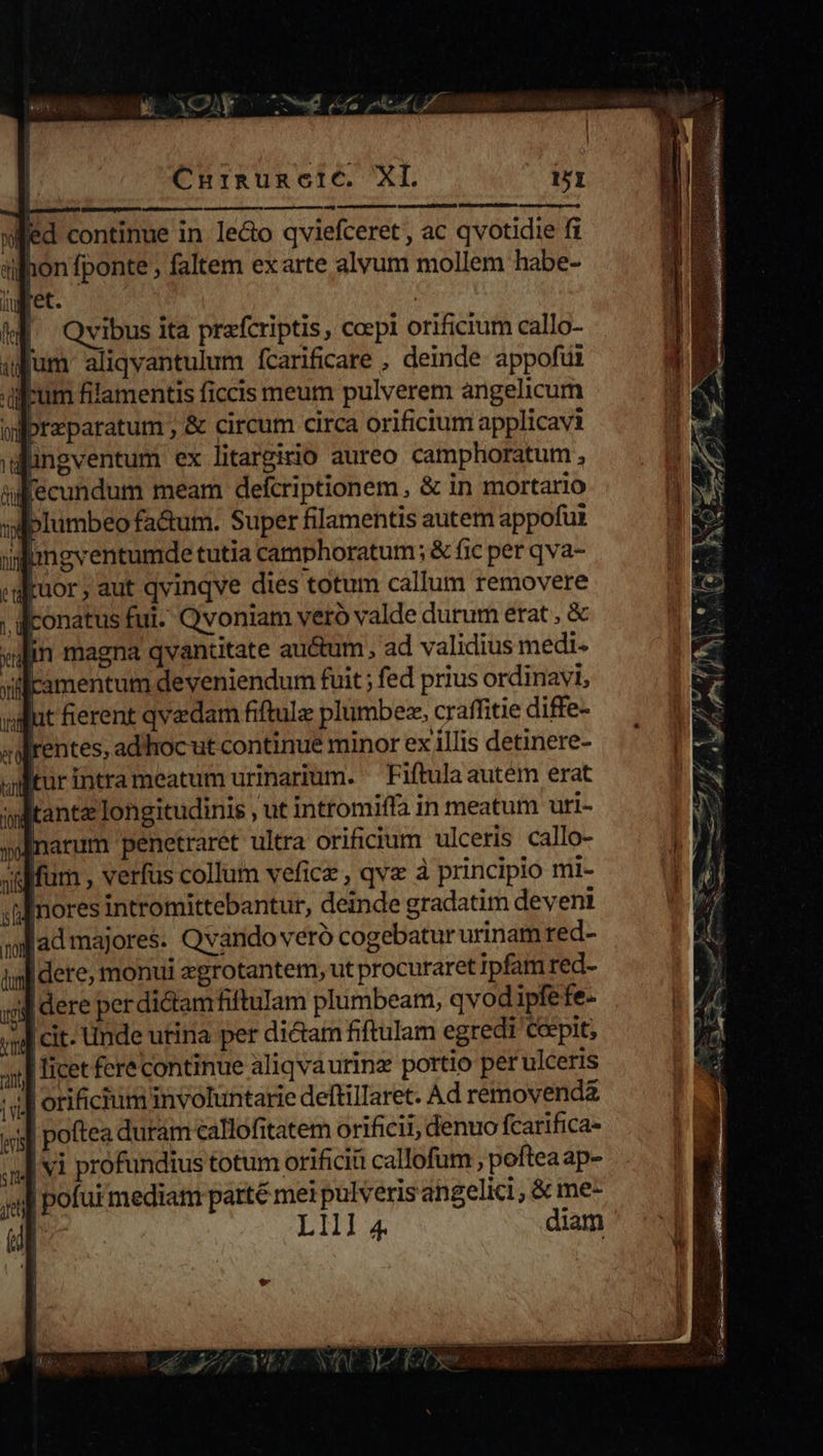jugret. | kf Qvibus ita prefcriptis, ccepi orificium callo- ufum. aliqvantulum fcarificare , deinde appofüi bum filamentis ficcis meum pulverem angelicum jprzparatum ; &amp; circum circa orificium applicavi düngventum ex litargirio aureo camphoratum , al fecundum meam defcriptionem, &amp; in mortario »lumbeo fa&amp;um. Super filamentis autem appofut lingventumde tutia camphoratum ; &amp; fic per qva- juor; aut qvinqve dies totum callum removere Iconatus fui. Qvoniam veró valde durum erat , &amp; sofrentes, adhoc ut continue minor ex illis detinere- ulitur intra meatum urinarium. ^ Fiftula autem erat witante longitudinis , ut intromiffa in meatum uri- soBnarum 'penetraret ultra orificium ulceris callo- silium , verfus collum veficz , qva à principio mi- «tffmores intromittebantur, deinde gradatim devenit ;ujad majores. Qvando vero cogebatur urinam red- inlidere, monui zgrotantem, ut procuraret ipfam red- d dere perdi&amp;tamfiftulam plumbeam, qvod ipfefe- J cit. unde urina per dictam fiftulam egredi Cepit, licet fere continue aliqvaurinz portio pet ulceris ul orifictum involuntarie deftillaret. Ad removendz | poftea duram callofitatem orificii, denuo fcarifica- jv profundius totum orificiü callofum poftea ap- | pofur mediam parte mei pulveris angelici , &amp; me- | L11l 4 diam I 