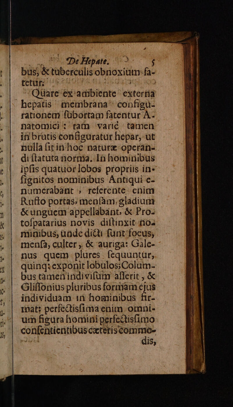 Me aao ran MESSER : ow 77. De Bepate. j bus; &amp; tübcreulis obnoxium: fa- [tup emm ee sd | Quare ex.adibiente extertia rationem fübortam fatentur A. natomici: rati varié tamen ihi bratis configuratur hepar, ut nulla firin hoc paturz opcran- di (tatuta norma. In hominibus ipfis quatuor lobos propriis in fignitos nominibus Antiqui c- numerabant » referente. enim Rufto portas; meníàm., gladium &amp;unguem appellabant, &amp; Pro-z tofpatarius novis diltinxit tios minibus; ande dicti fünt focus; menfa, culter , &amp; auriga: Gale- nus quem plures fequuntar, quinq: exponit lobulos;Colum- bus tàmenindivifum aflerit , &amp; Gliflonius pluribus formam cjus individuam 1n hominibus fir- mat: perfedisfima enim ormni- um figdra hodiini perfe&amp;tisfimo dis,