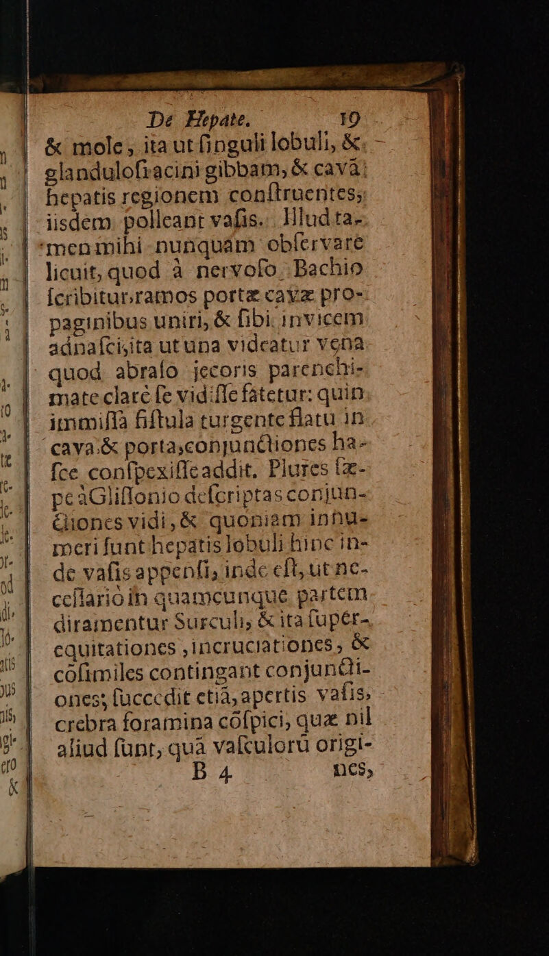 &amp; mole, ita ut (jnguli lobuli, &amp; glandulofiacini gibbam, &amp; cavá; hepatis regionem conftruenites;: iisdem. polleant vafis... Hludta- licuit, quod à nervofo..Bachio Ícribitunramos porte cayz pro- paginibus uniri, &amp; fibi. invicem adnaícisita ut una vidcatur vona quod abrafo jecoris parenchi- mate claré fe vidiffe fatetur: quin immiffà fiftula turgenteflatu in fce confpexiffcaddit. Plures ia- peàGliffonio defcriptas conjun- &amp;Gioncs vidi, &amp; quoniam inhnu- rocri funt hepatis lobuli hinc in- de vafis appenfi, inde cft, ut nc- ccilario in quamcunque partem diramentur Surculi; &amp; ita fupér- cquitationcs ,incruciationes, cófimiles contingant conjundi- ones; lucccdit etià; apertis vafis. - crebra foramina cófpici; quz nil aliud fünr, quà vaculoru origi- B 4 ncs,