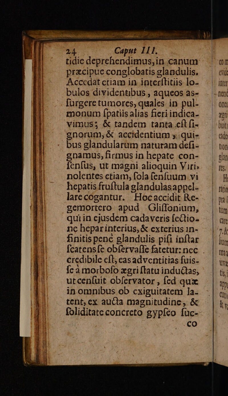 pracipue conglobatis glandulis. Acccdat criam in interllitiis lo- bulos dividentibus , aqueos as- [urgere tumores, quales. in pul- monum Ípatiis alias fieri indica- vimus$5 &amp; tandem tanta cíl fi- gnorum, &amp; accidentium s. qui- bus glandularum naturam defi- gnamus, firmus in hepate con- fcnfüs, ut magni alioquin Viri; nolentes ctiam; fola fenfüum. vi hepatis froftula glandulasappel- larecogantur. | Hocaccidit Rc- gemortero apud GlifTonium, qui in cjusdem cadaveris fcctio- nc heparinterius, &amp; exterius 1n- finitis penc glandulis pifi inftar credibile cft cas adventitias fuis- fc a morbofo zgri ftatu inductas, utcenfuit obfervator , fcd quze in omnibus ob cxiguitatem ]a- tent; cx aucta magnitudine, &amp; foliditate concreto gypízco füc- .Co ——— ————