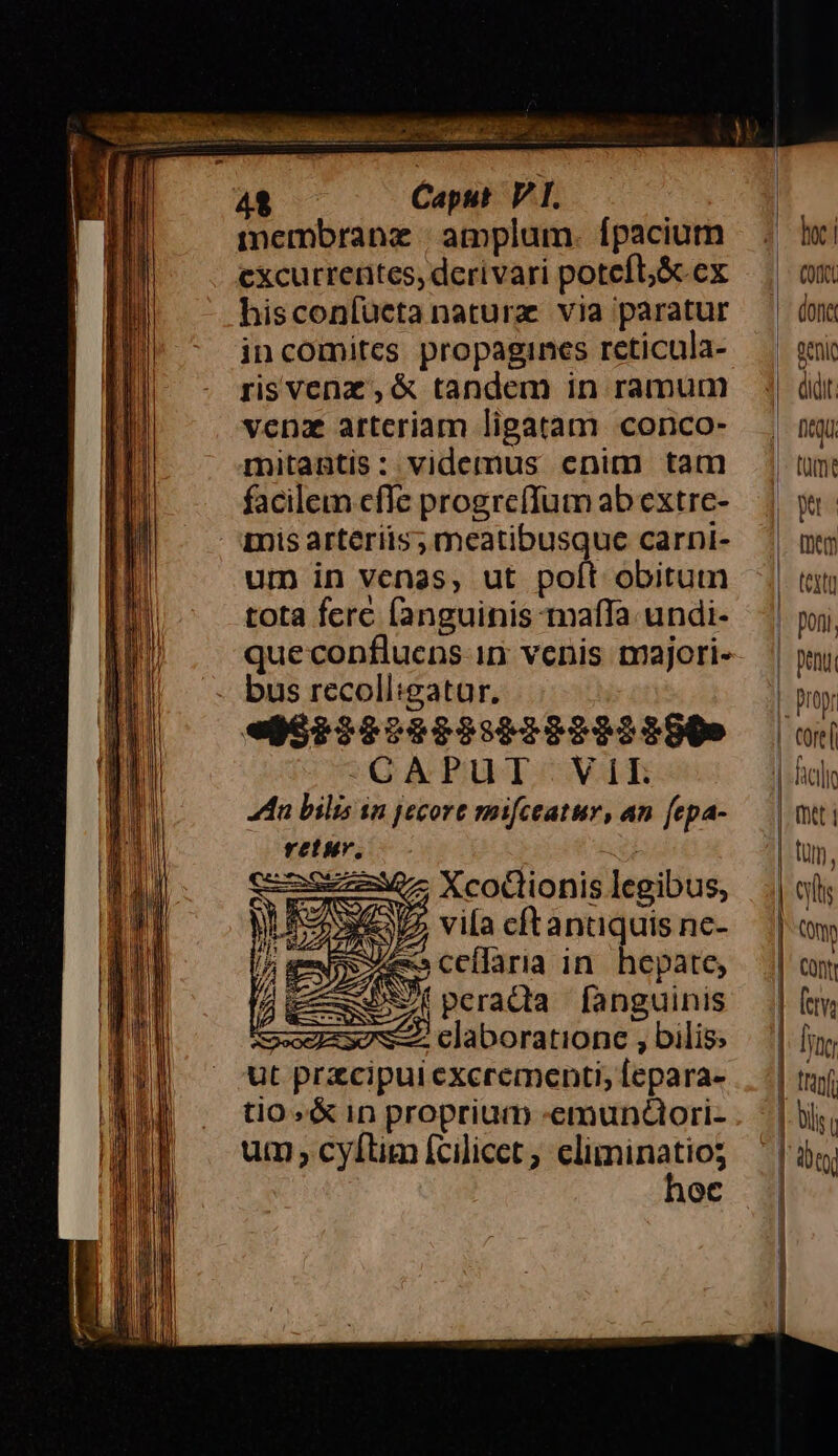 mU IAEc 41 Caput VT. membranz | amplum. fpacium excurrerites, derivari poteft,&amp;ex hisconfuüeta natura. via paratur incomitcs propagines reticula- risvenz , &amp; tandem in ramum vena artcriam ligatam conco- mitantis: videmus enim tam facilem cfle progreflum ab extre- mis arteriis; meatibusque carni- um in venas, ut polt obitum tota fere fanguinis mafíTa undi- que confluens in venis majori- bus recolligatur,. «6229999959299 9292900 -CAPUT Vik n bilis in jecore mifceatur, an [epa- retur, | Sz Xcoctionis legibus, 33/2 vila cftantiquis nc- do cellaria in. hepate, AxJfperadia fanguinis Ao claboratione , bilis; ut przcipui cexcrementi, Íepara- tio »&amp; in proprium -«emundori- um cyftim fcilicct; capio v6 Gc C (orte genit didit (me mS [Dm (XL ! poni, | penu propr | Core( | facili