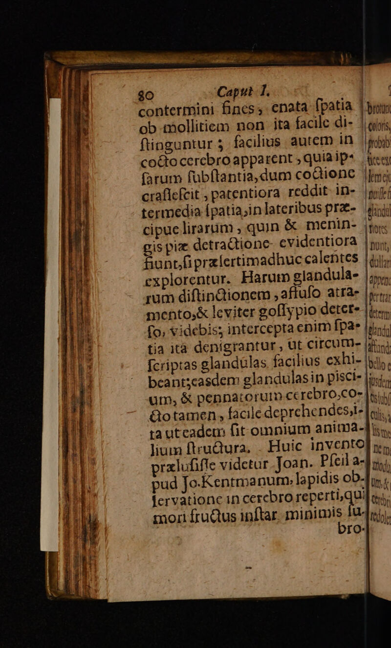 $0 Capit T. contermini fines ,. enata fpatia | p ob mollitiem non ita facilc di- | edis finguntur 5. facilius autern in n co&amp;tocerebro apparent ; quia ip* | trees (arum fubftantia, dum co&amp;iene |I craflcfcit ; patentiora reddit: in- |y termedia (patia;in lateribus pra- tini cipue lirarum , quin &amp; menin- |a gis piae dctractione evidentiora |j; Bunt/fiprzlertimadhuc calentes lil explorentur. Harum glandula- Jio rum diftinQionem ,affufo atra- |«. mentos&amp; leviter goflypio detere |i.» (o; videbis; intercepta enim fpa» ins tia ità denigrantur., üt Circum- [ici fcriptas glandülas facilius exhi- |g4,. bcantscasdem glandulasin pisci- ML: um, &amp; pennatorutm ccrebro.coe [s Qotamen, facile deprchendesit ta utcadem fit. omnium anitDa-Ji.. lium ftru&amp;tura, . Huic invento m pralufife vidctur. Joan. Pícil 34]. pud Jo.Kentmanum» lapidis ob-fr. fervationc in cerebro Feperiun ? e mori fru&amp;us inftar. minimis fur. ü bro