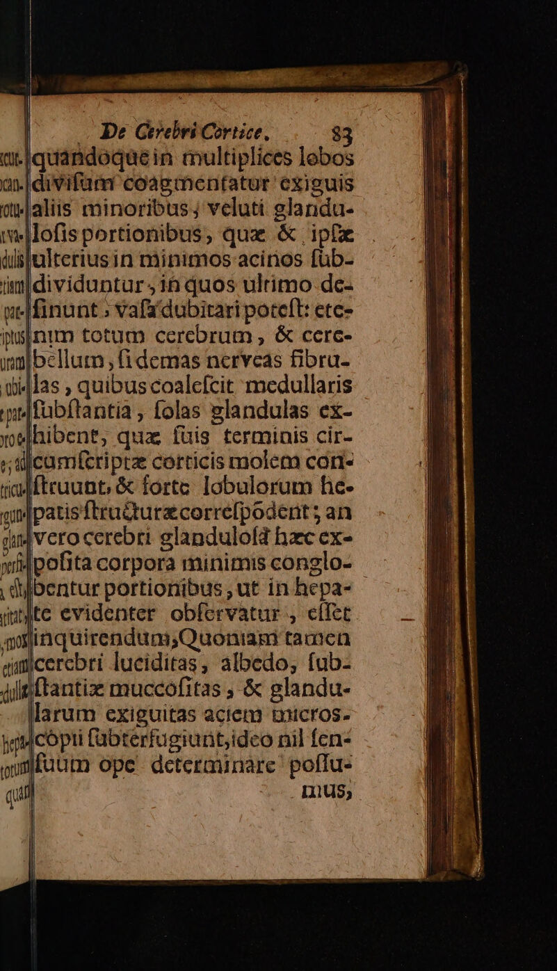 .|quandoquein multiplices lebos a |divifum coagmentatur exiguis yJaliis minoribus j veluti glandu- Ilofisportionibus, quz &amp; ipf sjulteriusin minimos acirios füb- üiimdividuntur ih quos ultimo de- Jfinunt ; vafa dubitari poteft: ete- inim totum cerebrum , &amp; cerc- Ibellum (idemas nerveas fibru- |las , quibus coalefcit medullaris Ifubftantia , folas glandulas ex- lhibent, qua fuis terminis cir- icumícriptz corticis molem cori- Iftruunt; &amp; forte. lobulorum he- Ipatisftru&amp;turzcorrefpodent; an |vero cerebri glandulold hzc ex- widpofita corpora minimis conglo- Ibentur portionibus,ut in hepa- - ute evidenter obfervatur , eifet. inquirendum,Quoniam tamcn cercbri luciditas, albedo, fub- (tanti: muccofitas , &amp; glandu- larum exiguitas aciem tnicros- y cópti [abterfugiunt;ideo nil fen- fuum ope determinare poffu- nius,