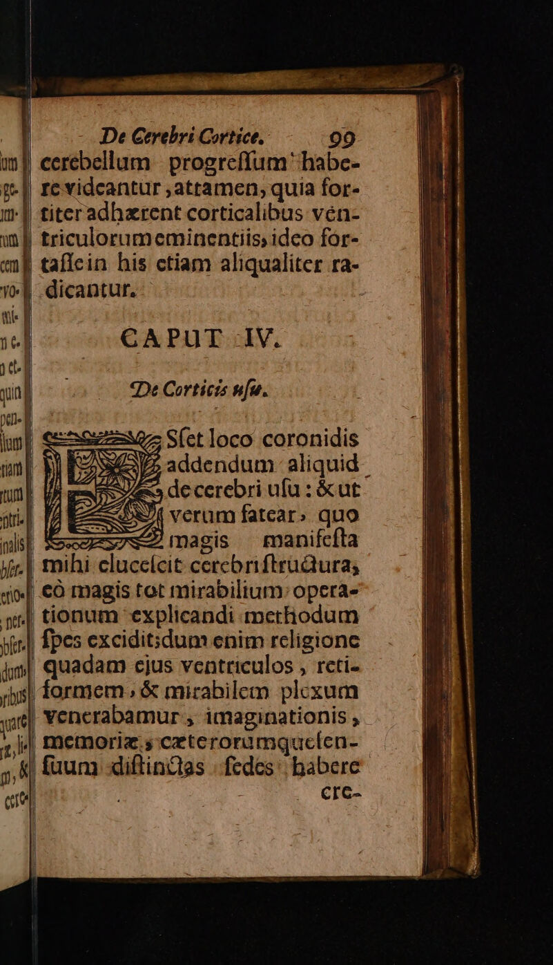 ?-l m um B em Y» qi. T I qun | xd jump (uri d iilis] hr. | eor ; ne | itte I Nn Dt Ctrebri Cortice. 99 Ic vidcantur attamen; quia for- titeradhzrent corticalibus vén- triculorumeminentiis; idco fór- tafícin his ctiam aliqualiter ra- dicantur. CAPUT IV. De Certicis nfu. 2M S(ctloco coronidis V2 addendum: aliquid A decerebri ufu : &amp;ut EE verum fatear» quo E—css7w2) magis manifcíla mihi cluccícit cercbriftrudura; tionum explicandi methodum fpes exciditdum enim rcligione ya | formem. &amp; mirabilem plcxum | vencerabamur , imaginationis , | memoriz.s ceterorumqucefen- Ccrc-