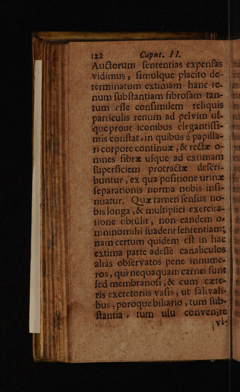 Au&amp;Gorum f[ententias expenfas — wi vidimus ; fíimulque placito de- |» terminatum extimàm. hane rc- lim num fübftantiam fibrofam tan- . 4t rum cfle confimilem reliquis |y; particulis renum ad pelvim ut- qi queprout iconibus clegantiflt- «i mis conftat;in quibus à papilla- ti ricorporecontinuz ,&amp; rectae O- |j mnes fibre ufque ad extimam | fuperficiern protrada deferi- buntur , ex qua pofitione urinae |f fcpárationis nortpa nobis infi- |m nüatur. Quz tamen fenfus no- bislonga , &amp; multiplici exercira- üone obtülit, non candcm 9» | mninomihi fuadenr fehtentiats, nam certum quidem eft in hac extima parte adclle canaliculos aliàs obfervatos penc innutme- ros, qurpequaquam carnei fünt fed membranofi,é&amp; cum ezte- ris cxcrctoriis vafis, ut falivali- bus , poroque biliario , tum (ub- ftantia» tum. ula convenire VE