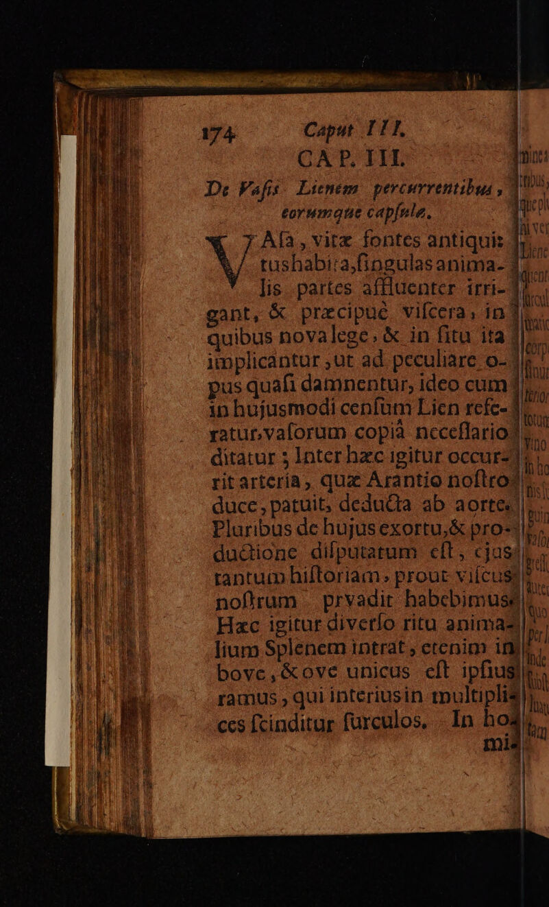 CAP, IIT. I Vafis Lieném percurrentibus , : eorumque capfule. | LAM vita fontes antiquis ];..— Y tushabira,fingulasanima- 15. lis. partes affluenter irri- 17. gant, &amp; praecipue vifcera, in 15. quibus novalege, &amp; in fitu ita 117. implicantur ;ut ad. peculiare; o- Jie. pus quafi damnentur, ideo cum 1. in hujusmodi cenfum Licn refc- | ratu, vaforum copià ncceffario ditatur 5 Inter hzc igitur occurz] s; rit arteria, qua Arantio noftro? ducc,patuit, deduda ab aorte.| Pluribus de hujusexortu,&amp; pro-) dudione difputatum cft, cjus4i. ; rantum hiftoriam. prout viícusq  Hd iM gU l n 3210 noflrum prvadit habebimus. Hac igitur diverfo ritu animae; lium Splenem intrat ; etenim ine. bovc,&amp;ove unicus cít ipfius. ramus , qui interiusin multipli ls ccs fcinditur furculos, - In ho4 | mnia.