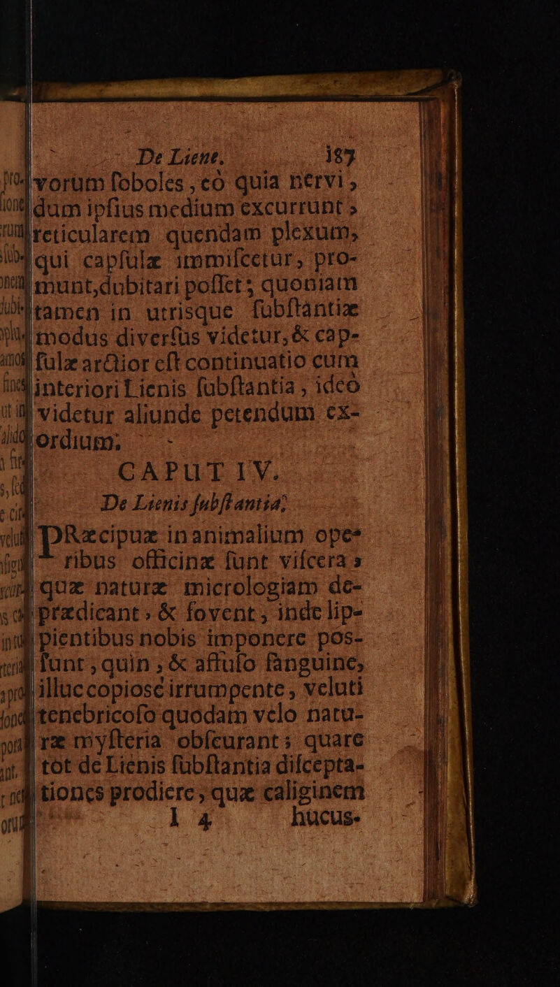 co De Lune. 1$3 I4 vorum foboles, eo quia nervi ; qd dum ipfius medium excurrunt ; Ulreticularem quendam plexutn; UM qui capfulz immifcetur, pro- ii munt,dubitari poflet quoniam UMtamen in. utrisque. fübftantiz jid modus divertüs videtur, &amp; cap- 1n fülze ar&amp;ior cft continuatio cum interiori Lienis fubftantia ; idco | videtur aliunde petendum cx- Jordium, ^ -. ' CAPUT IV. | De Lienis fubftantia; dui pRecipux inanimalium ope mW» ribus officinz fünt vifcera s |rz mylteria obfturant; quare ! tot dc Lienis fubftantia difcepta- |tioncs prodiere; qux caliginem ; l4 hücus-