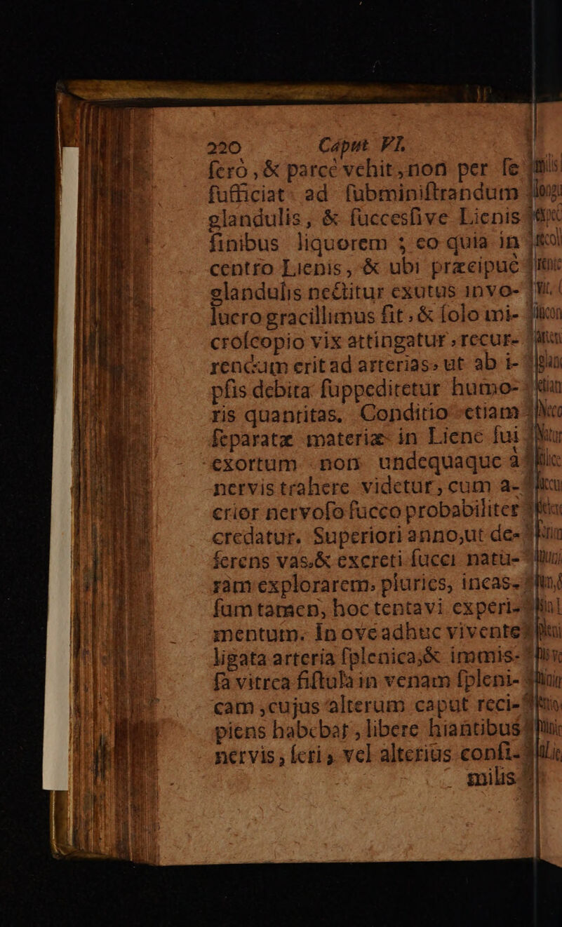220 Caput VI | fero, &amp; parce vehit, non per fe fli rencm eritad arterias» ut ab i- 11i pfis debita: fuppeditetur humo- 7€ ris quantitas, Conditio «ctiam 3f« crier nervofo fucco probabilitee Rea credatur. Superiori anno;ut de- 2e ferens vas.&amp; excreti-fucei natüus- ^W ram explorarem. plurics, incas- qWnj fam tamen, hoctentavi experi dli mentum. Inovcadhuc vivente? ligata arteria fplenica;&amp; imumis- ^ fa vitrca fiftula in venam fpleni- 3n piens habcbar , libere hiantibus d nervis Ícri y vel alterius confi-3 milis 2