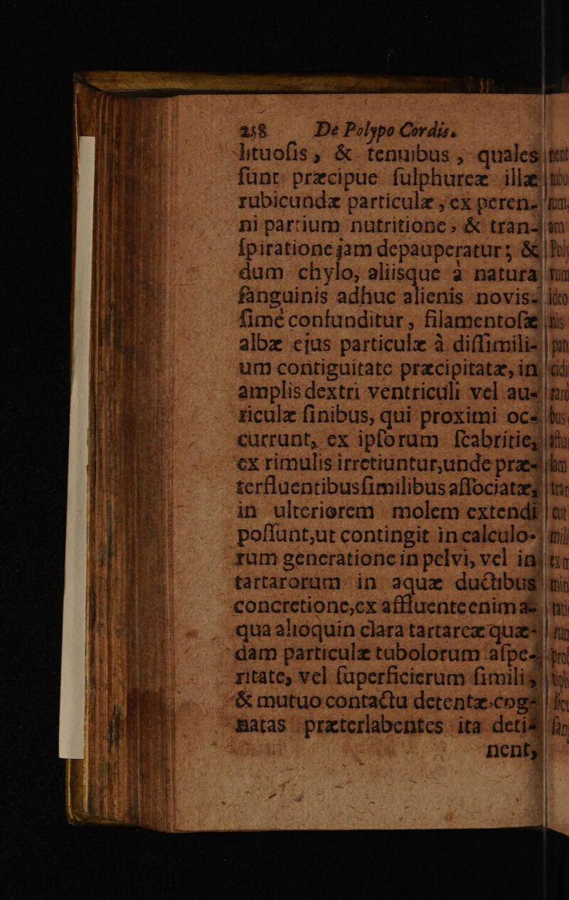 V mim em o t iam Fen MRGASI od - qs ?. S htuofis , &amp; tenuibus ; quales te fünt: precipue. fulphurez illae |t rubicuadz particule ; cx perenz po. ni partium nutritione » &amp; tran-m Ípiratione jam depaupcratur ; &amp; lu dum. chylo, aliisque à: natura fui fimé confunditur , filamento(x tis albz cjus particulz à diffimiliz | pu um corntiguitatc pracipitatae, itx ci amplis dextri ventriculi vel aus pi ziculz finibus, qui proxitni ocs bu. currunt, ex ipforum fcabritieg itu €x rimulis irrctiuntur,unde praes bo terfluentibusfimilibus affociataeg |l: in ulteriorem | molem extendi |o poffunt;ut contingit incalculo- mj rum generationein pelvi, vel iai ti tartarorum in aqua ducibus ni qua alioquin clara tartarcae quae?) | n dam particulz tabolorum afpe3 oj ritate vel fuperficierum pias. |r. &amp; mutuo contactu detentaecogs jr Batas prztcrlabentcs ita deti f nentg