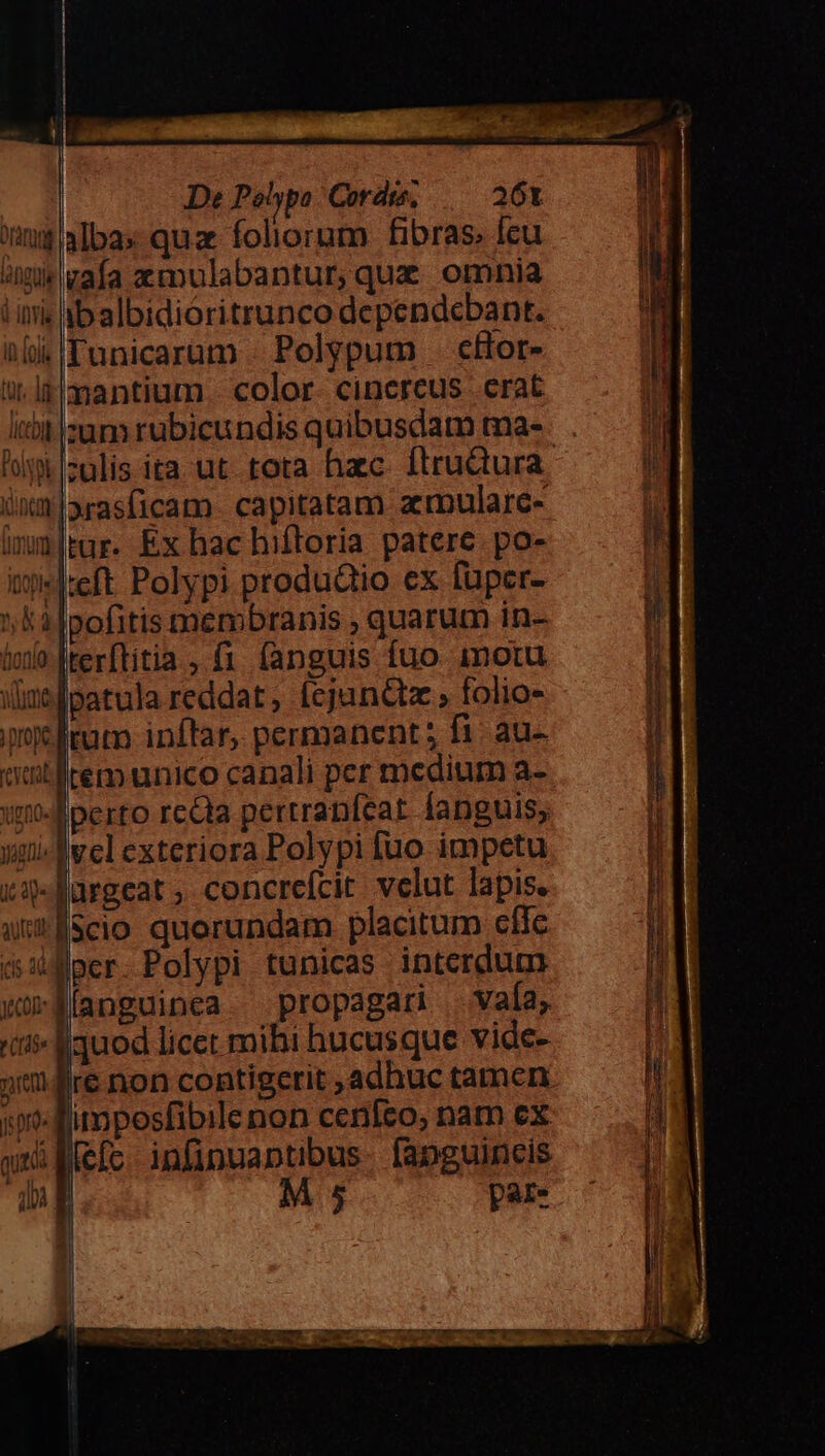 unn albas qua foliorum fibras. Ícu amie vafa xmulabantur,quz omnia lii «balbidioritrunco dependcbant. hj Tunicaram . Polypum .. cHor- itl mantium color. cinereus erat iti zum rubicundis quibusdam ma- liii zulis ita. ut. tota hac. ftruQura. a üxm|arasficam capitatam arpularc- $i f imm|tur. Ex hac hiftoria patere. po- Hr i hkeft Polypi produdio ex füper- j ka pofitis membranis , quarum in- i | tono Aterftitia , f1 fanguis fuo imotu | ilimspatula reddat , (ejanQz , folio- it litum inftar, permanent; fi. au- ij autltem unico canali per medium a- h :m4 perro re&amp;a perrranfeat. fanguis; | ygi- Mel exteriora Polypifuo impetu I xqy- urgeat ,. concrefcit. velut lapis. t ut Scio quorundam placitum cffe m d:uffper.Polypi tunicas intcrdum t UOCE wWManguinea. propagari | valía, H3 «tii- quod licet mihi hucusque vide- Hi »mjlre non contigerit ,adhuc tamcn i fimposfibile non cenfeo, nam cx qni efc. infinuantibus- fapguineis 1i M 5 pare
