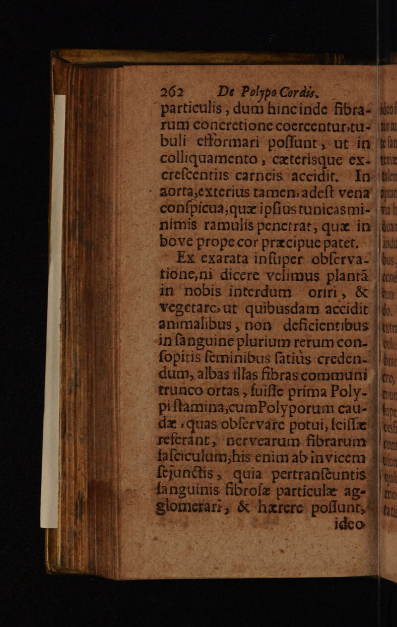 - - 2 PEL rend p m UTR E EE - -— ear e ia M INS S particulis ;, dum hincinde fibra- rum concrctione coercentur.tu- aorta;exterius tamem adeft vera confpicua;quz ipfiustunicasmi- bove prope cor prazcipuce patet. Ex cxarata infuper obfcrva- vegetarc;ut quibusdam accidit animalibus, non deficientibus fopitis feminibus fatiüs- creden- dum, albas illas fibrascommuni trunco ortas , fuiffe prima Poly- piftamina;cumPolyporum cau- dz ;quas obferváre potui, ÍcilTze rcícrant, nervcarum fibrarum falciculum;his enim ab invicem [tjundis, quia pertranftuntis !!do 1 WO, Tir QU 1 ni | tto | fur boc d tef tor .| LM ju RM idco 3: