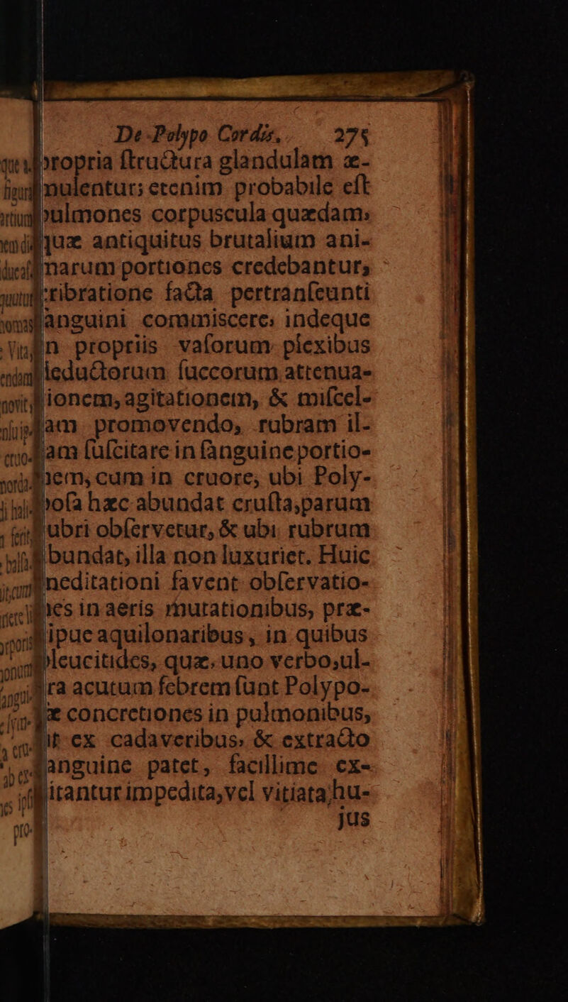 qlbropria ftru&amp;ura glandulatn z- indfinulentur; etenim. probabile eft iiuulmones corpuscula quzdam: miljuz antiquitus brutalium ani- li narum portiones credebantur; wif:ribratione facta pertran(eunti wwsanguini comumiscere: indeque ufn propriis vaforum: piexibus j pl ieducterum: fuccorum atrenua- l qitf ionem; agitationem, &amp; miícel- viui am promovendo, .rabram il- ' «oam fufcitare in fànguine portio- oliem, cum in cruore; ubi Poly- | ;iglo(a hzc abundat crufta;parum i , uf ubri obí(ervetur, &amp; ubi. rubrum | nli bundat, illa non luxuriet. Huic pd favent obfervatio- | 4 «illis in aeris rnurationibus, pra- l «il ipue aquilonaribus, in quibus | ^. el leucitides, quz.uno verbo;ul- i | Ji ra acutum febrem fünt Polypo- 4 ,I concrctiones in pulmonibus, .JMt-ex cadaveribus: &amp; extracto Ü JAanguine patet, facillime. cx- 1 «lirantur impedita;vel vitiata hu- d : Jus ud