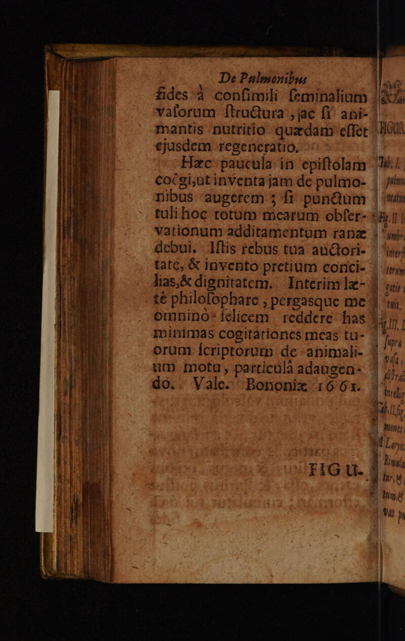 De Palmonibu: | ouo fides:à confimili feminaliutn gc vatorum ÍtraQura ; jac fi^ ani- ^ 4t mantis nutritio quzdam effer *BOU ejusdem regenceratio, | Hzc paucula in epiftolam 19.4. cocgi;utinventajam de pulmo- | jm nibus augerem 3 f? pun&amp;um | nin tulihoc rotum mcearum obfer- S.I vationum additamentum rane uw dcbui. ftis rebus tua audtori- ' ji tate, &amp; invento pretium corici- | i» lias&amp; dignitatem. | Interim la- | tit té philofophare ; pergasque me 3 y; omnino* felicem | reddere: has Mul minimas cogitariones meas tu- | hori orum Ícriptorum de -animali- 7 um motu, particulà adaugen- do.. Vale. —Bononix :6 61. E E]: RIT ird iri VOS r M | B Loy, | 707 FIG U- 1,7 Tong Va y