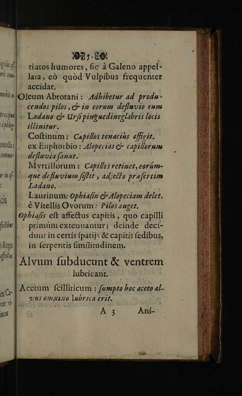 t ip. | fitim | iftis 931.60 ; tiatos humores, fic à Galeno appel- lata, có quod Vulpibus frequenter accidat. Adhibetur ad. produ- cendos pilos , e ip eorum deflwvio eum Ladano cà» Ur[f pimtuedineglabris locis I:linitur. Coítinum: Capzllos tenacins affizit. ex Euphoibio : Alopectas e capillorum defiwvia fanat. Mvrtillorum : Capz/fos retizet, eoráüm- que defluvium fsfHt , adjecto prafertim Ladano. : Laurinum: ophiafiz ei» Alopeciam delet. € Vitellis Ovorum: Pz/os anuget. hiafís eft affe&amp;us capitis , quo capilli primum extenuantur; deinde deci- dun: in certis fpatijs &amp; capitis fedibus, in ferpentis fimilitadinem. ÁAlvum fubducunt &amp; ventrem lubricant. | Acetum fcilliticum : fumpto boc aceto aL- vts 0mpito lubrzca erit. | j | | i | j | 