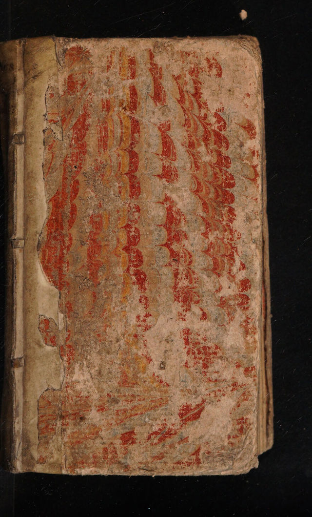 No text description is available for this image