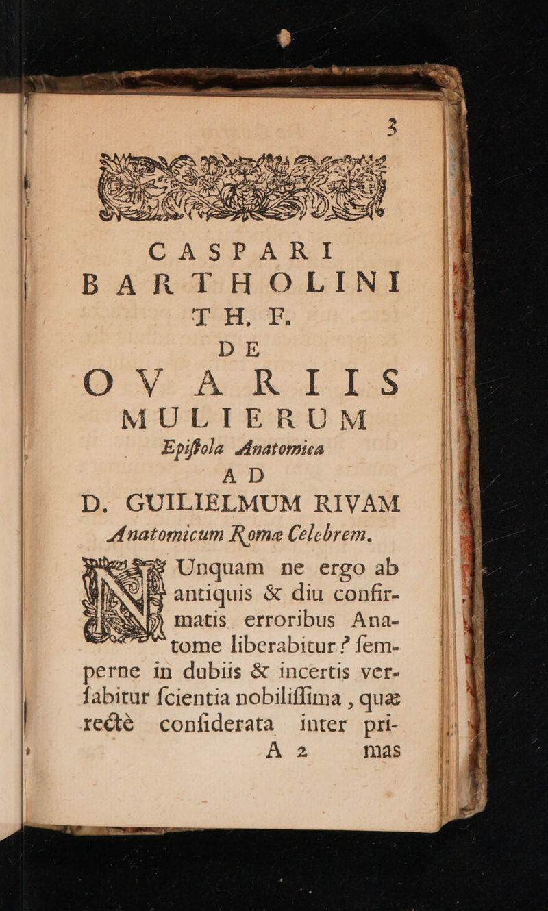 MULIERUM Epiflola Jdnatomica | A D | D. GUILIELMUM RIVAM natomicum Rome Celebrem. 223/ Unquam ne ergo ab Ndkr antiquis &amp; diu confir- i matis erroribus Ana- | tome liberabitur?fem- | perne in dubiis &amp; incertis ver- labitur fcientia nobiliffima , qua | recté confiderata inter pri- 7, MEO mas  j—M Mr : - -