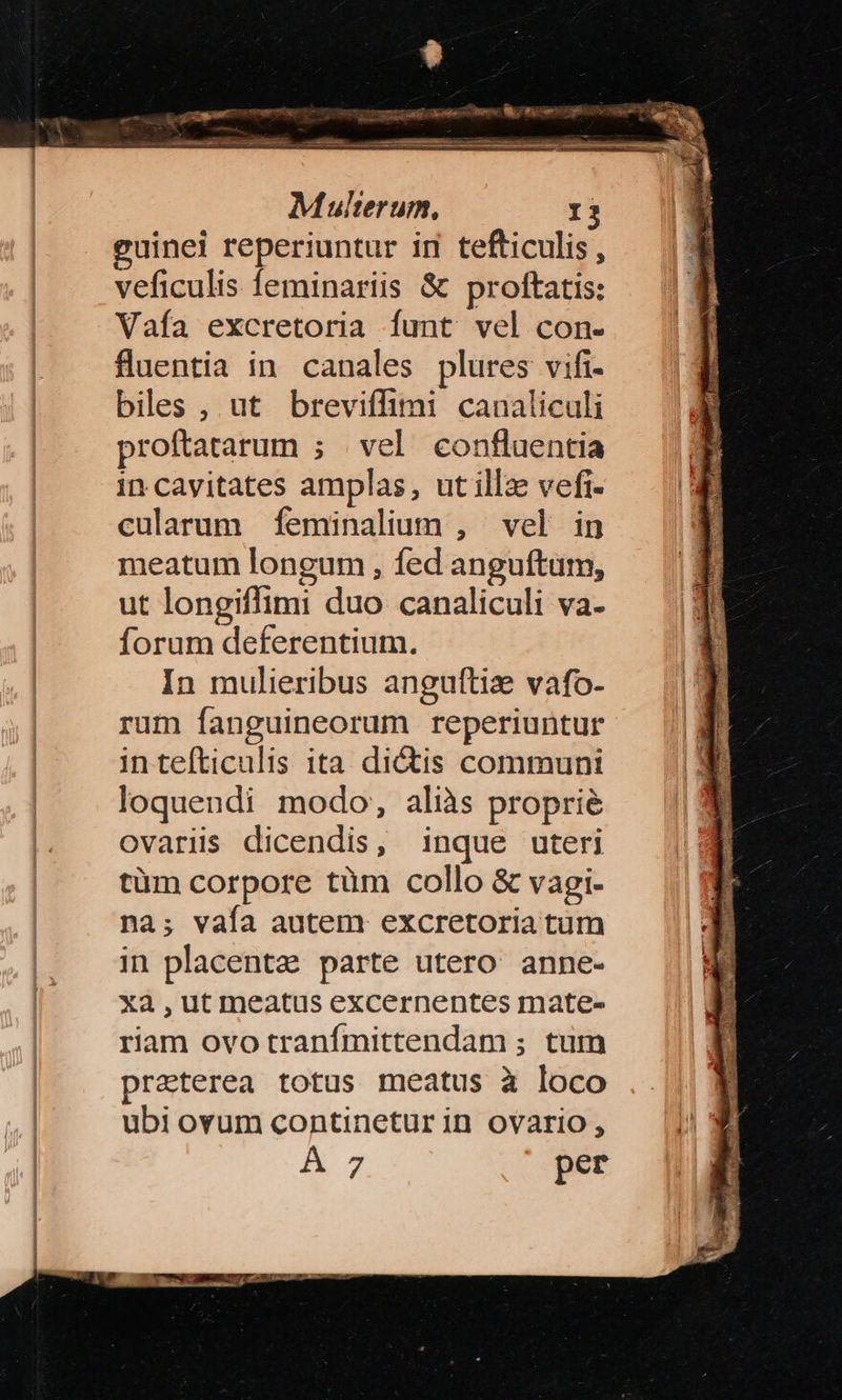 L. quem ont — M M— Multerum, E guinei reperiuntur ir tefticulis, veficulis feminariis &amp; proftatis: Vaía excretoria funt vel con- fluentia in canales plures vifi- biles , ut breviffimi canaliculi proftatarum ; vel confluentia in cavitates amplas, ut illze vefi- cularum feminalium , vel in meatum longum , fed anguftum, ut longiffimi duo canaliculi va- forum deferentium. In mulieribus anguftiz vafo- rum fanguineorum reperiuntur in tefticulis ita dictis communi loquendi modo, aliàs proprie ovariüs dicendis, inque uteri tüm corpore tüm collo &amp; vagi- na; vaía autem excretoria tum in placenta? parte utero anne- xà,utmeatus excernentes mate- riam ovo tranfmittendam ; tum praterea totus meatus à loco ubi ovum continetur in ovario, A 7 per