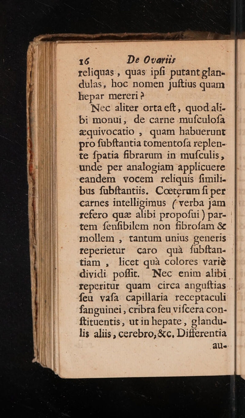 reliquas, quas ipfi putant glan- dulas, hoc nomen juftius quam hepar mereri ? Nec aliter ortaeft, quodali- bi monui, de carne mufculofa &quivocatio , quam habuerunt pro fubftantia tomentofa replen-- te fpatia fibrarum in mufculis, unde per analogiam applicuere eandém vocem reliquis fimili bus fubftantiis. Coeteram fi per carnes intellipimus (verba jam refero qua alibi propofui) par- | tem fenfibilem non fibrofam & mollem , tantum unius generis reperietur caro quà fubftan- tiam , licet quà colores varié dividi poffit. Nec enim alibi. reperitur quam circa anguftias feu vafa capillaria receptaculi fanguinei , cribra feu vifcera con- ftituentis, utin hepate, glandu- lis aliis, cerebro, &c. Differentia aue
