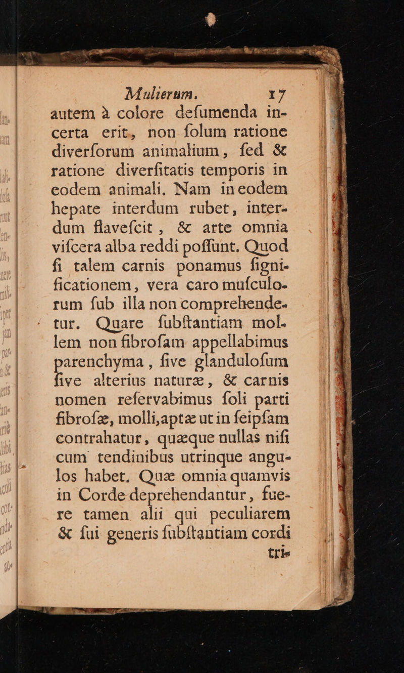 | DM ocn nor NP Mulierum. 7 autem à colore defumenda in- certa erit, non folum ratione diverforum animalium, fed &amp; ratione diverfitatis temporis in eodem animali, Nam ineodem hepate interdum rubet, inter- dum flavefcit , &amp; arte omnia vifcera alba reddi poffunt. Quod fi talem carnis ponamus figni- ficationem, vera caro mufculo. rum fub illa non comprehende- tur. Quare fubftantiam mol. lem non fibrofam appellabimus parenchyma , five glandulofum five alterius naturze, &amp; carnis nomen refervabimus Ííoli parti fibrofz, molli,apta ut in feipfam contrahatur, quaque nullas nifi cum tendinibus utrinque angu- los habet, Qua. omnia quamvis in Corde deprehendantur, fue- re tamen alii qui peculiarem &amp; fui generis fubftantiam cordi tri