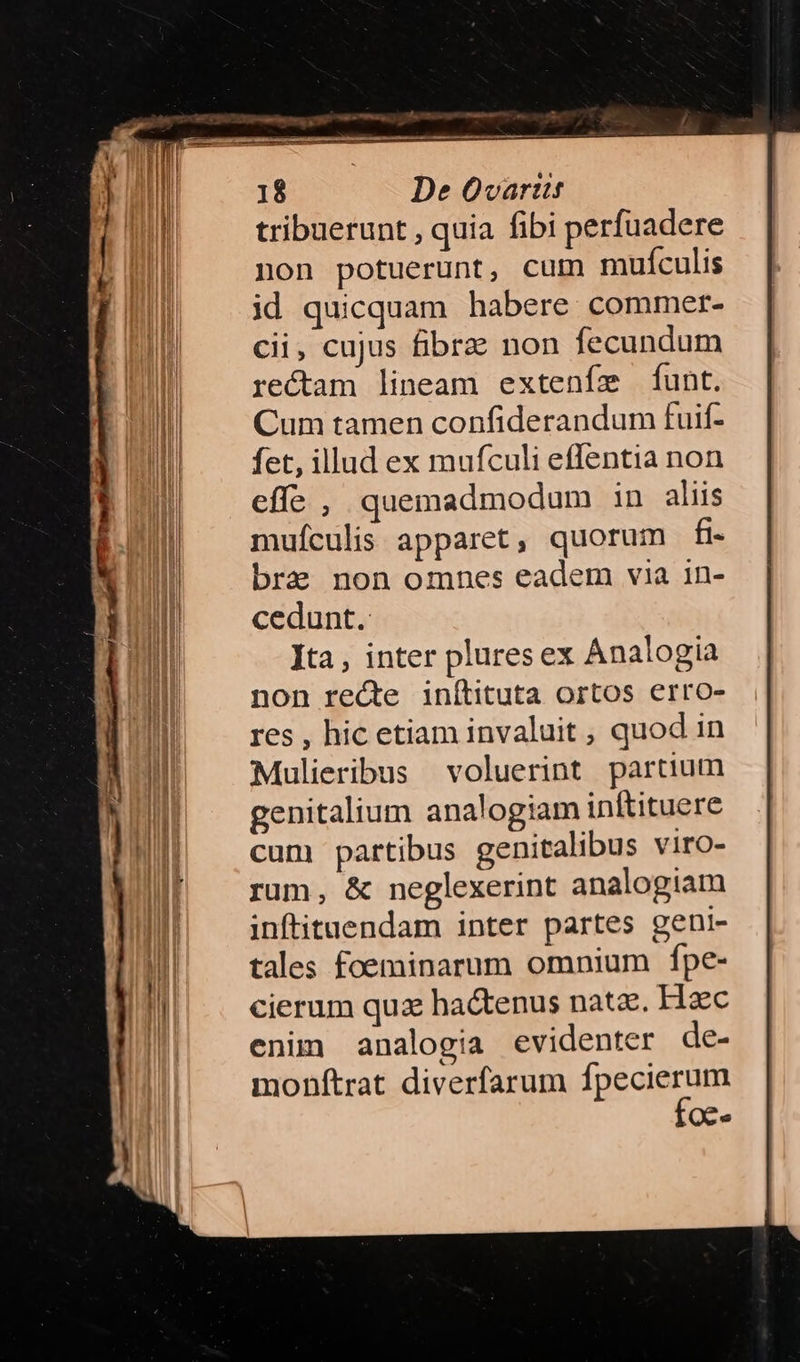 tribuerunt , quia fibi perfuadere non potuerunt, cum muículis id quicquam habere commer- cii, cujus fibre non fecundum rectam lineam exteníze funt. Cum tamen confiderandum fuif- fet, illud ex mufculi eflentia non effe , quemadmodum in aliis mufculis apparet, quorum fi- bra non omnes eadem via in- cedunt. Ita , inter pluresex Analogia non recte inítituta ortos erro- res , hic etiam invaluit , quod in Mulieribus voluerint partium genitalium analogiam inftituere cum partibus genitalibus viro- rum, & neglexerint analogiam inftituendam inter partes geni- tales foeminarum omnium fpe- cierum quax hactenus nata. Hac enim analogia evidenter de- monfítrat diverfarum fpecierum QCce
