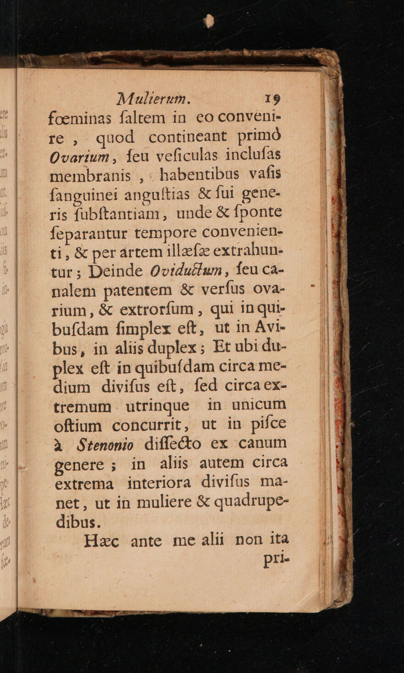 foeminas faltem in. eo conveni- re , quod contineant primó Qvarium , Íeu veficulas inclufas membranis ,. habentibus vafis fanguinei anguítias & Íui gene- ris fubítantiam, unde & fponte feparantur tempore convenien- ti, & perartem illaefz: extrahun- tur; Deinde Ovtidufhun, feu ca- nalem patentem & verfus ova- rium, & extrorfum , qui inqui- bufdam fimplex eft, ut in Avi- bus, in aliis duplex; Et ubi du- plex eft in quibufdam circa me- dium divifus eft, fed circa ex- tremum. utrinque in unicum oftium concurrit, ut in pifce A Stenonio diffecto ex canum genere ; in aliis autem circa extrema interiora divifus ma- net, ut in muliere & quadrupe- dibus. Hzc ante me alii non ita pr