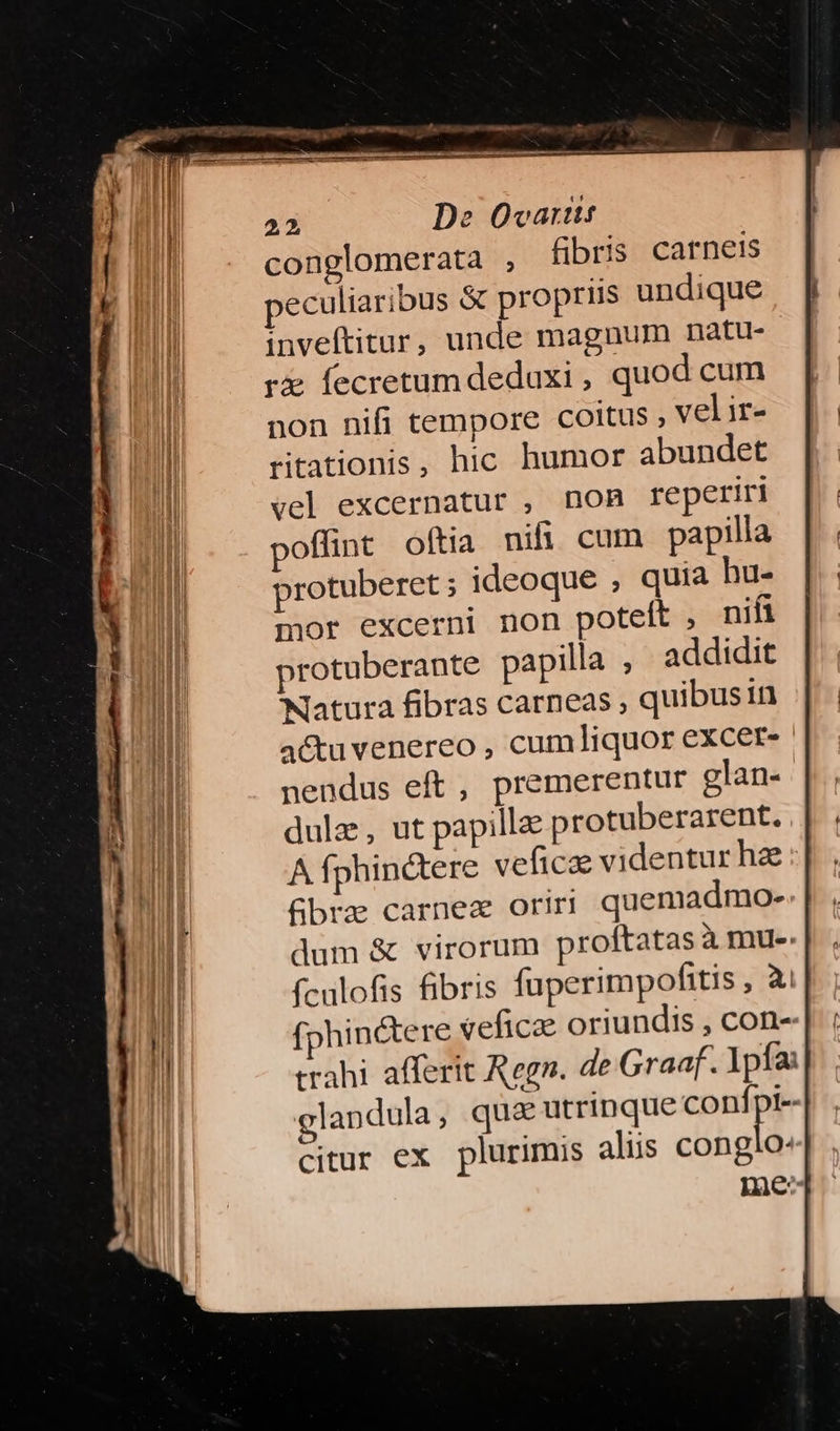 conglomerata , fibris carnets peculiaribus & propriis undique inveftitur, unde magnum natu- rx fecretumdeduxi, quod cum non nifi tempore coitus , vel ir- ritationis, hic humor abundet vel excernatur , noB reperiri poffint oftia nifi cum papilla protuberet ; ideoque , quia hu- mor excerni non poteft , nihi protuberante papilla , addidit Natura fibras carneas , quibusin actu venereo , cumliquor excer- nendus eft, premerentur glan- dulze, ut papille p rotuberarent. A fphin&tere veficae videntur hz Rbrz carnez oriri quemadmo- dum & virorum proftatas à mue. fcalofis fibris fuperimpofitis , à fphinctere veficae oriundis , con- trahi afferit Regn. de Graaf. Ipfa: glandula , qua utrinque confi à citur ex plurimis alis congio- Ine