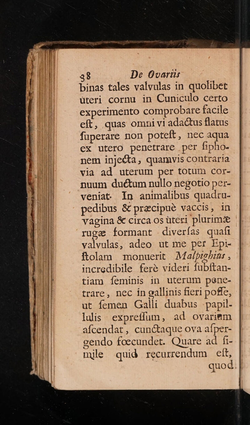 binas tales valvulas in quolibet üteri cornu in Cuniculo certo experimento comprobare facile eft, quas omni vi adactus flatus fuperare non poteft, nec aqua ex utero penetrare per fipho- nem injecta, quamvis contrar!a via ad uterum per totum cor- nuum ductum nullo negotio per- veniat In animalibus quadru- pedibus & praecipue vaccis, in vagina & circa os üteri plurimie ruga formant diverías quafi valvulas, adeo ut me per Epi- ftolam monuerit Ma/pzghzas , incredibile feré videri fubftan- tiam Ííéminis in uterum pene- trare, nec in gallinis fieri poffe, ut femen Galli duabus .papil- luis expretfum, ad ovariem afcendat, cunctaque ova aífper- gendo foecundet. Quare ad fi- mile quid recurrendum eft, quod. |