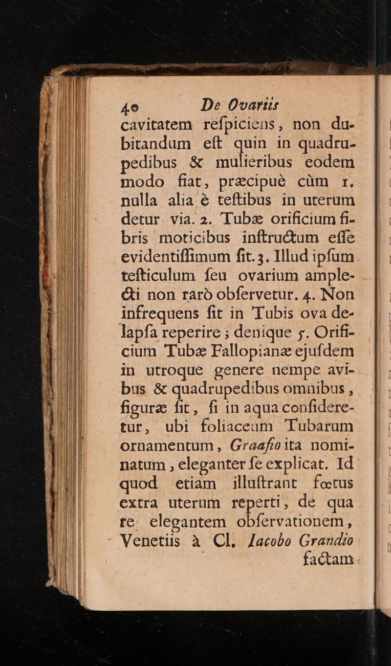 cavitatem refpiciens, non du- bitandum eft quin in quadru- pedibus & mulieribus eodem modo fiat, precipué cüm r. nulla alia é teftibus in uterum detur. via. 2. Tuba orificium fi- bris moticibus inftructum effe evidentiffimum fit. 5. Illud ipfum tefticulum feu ovarium ample- &i non raró obfervetur. 4. Non infrequens fit in 'Tubis ova de- lapfa reperire ; denique 5. Orifi- cium Tuba Fallopianz ejufdem in utroque genere nempe avi- bus & quadrupedibus omnibus , figure fit, fi in aqua confidere- tur, ubi foliaceam 'Tubarum ornamentum, Graafoita nomi- natum , eleganter fe explicat. Id quod etiam illuftrant foctus extra uterum reperti, de qua re: elegantem obfervationem, Venetis à Cl. Jacobo Grandio factam
