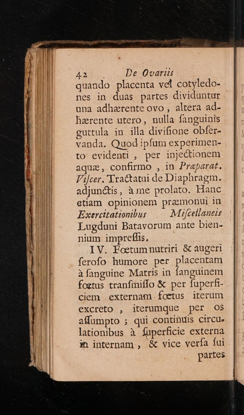 quando placenta vel cotyledo- nes in duas partes dividuntur üna adhaerente ovo, altera ad- hzrente utero, nulla fanguinis guttula in illa divifione obfer- vanda. Quod ipfum experimen- to evidenti , per injectionem aqua, confirmo , 1n Praparat. Vijcer.'Yra&tatui de Diaphragm. adjunctis, à me prolato. Hanc etiam opinionem praemonui 1n Exercttationibus Mifcellaneis Lugduni Batavorum ante bien- nium impreffis, IV. Foetamnutriri & augeri ferofo humore per placentam à fanguine Matris in fanguinem foztus tranfiniffo & per fuperfi- ciem externam. foetus iterum excreto , iterumque per 0$ affumpto ; qui continuis Circue latiombus à fuperficie externa iinternam , & vice verfa fui partes