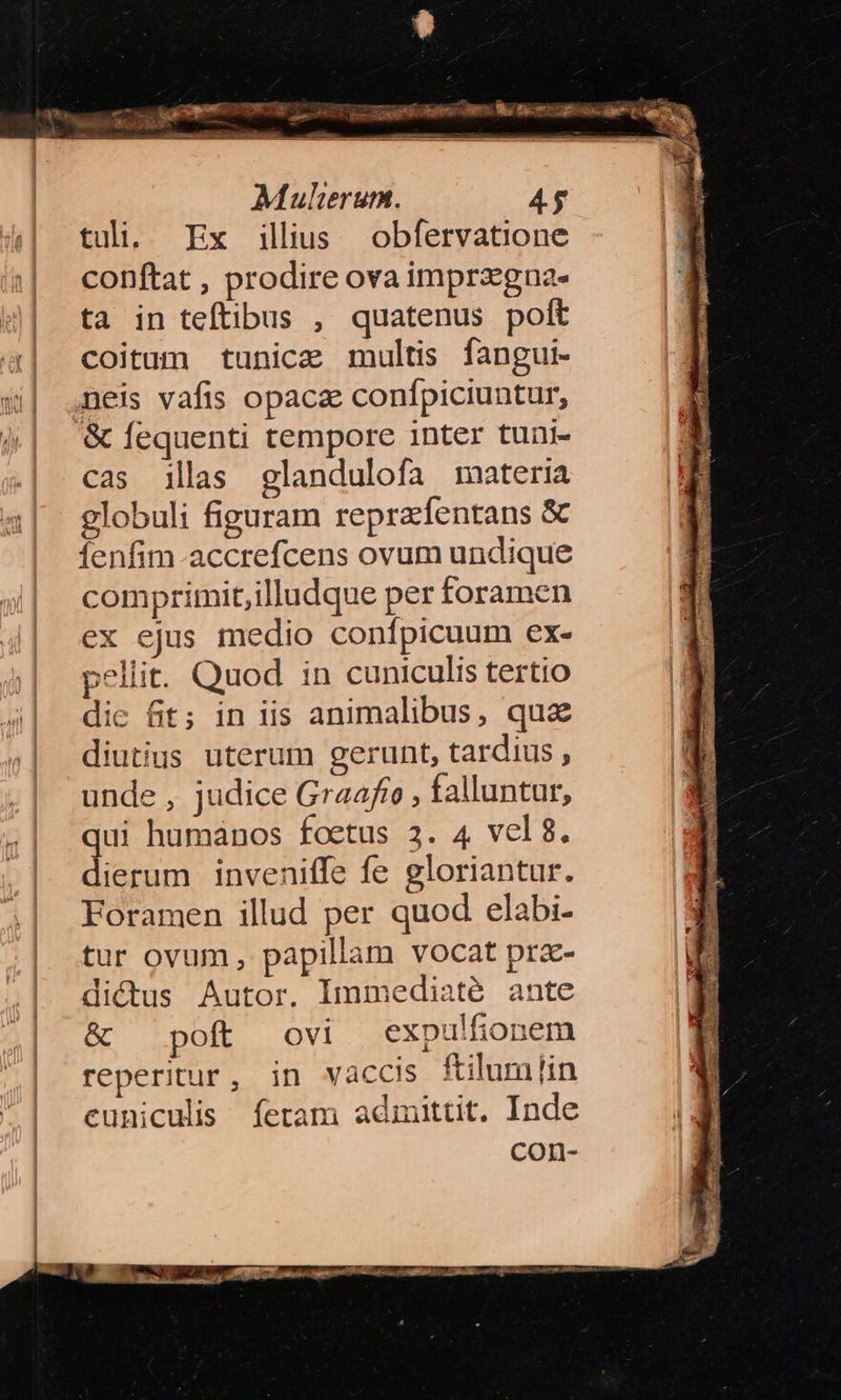 BL. CNA - cista AE S mis ie s ic. EU 5— à Mulierum. 4g tuli. Ex illius obfervatione conftat , prodire ova imprzgna- ta in teftibus , quatenus poft coitum tunice multis fangui- neis vafis opaca confpiciuntur, cas illas glandulofa materia globuli figuram reprafentans & fenfim-accrefcens ovum undique comprimit,illudque per foramen ex ejus medio confpicuum ex- pellit. Quod in cuniculis tertio dic fit; in iis animalibus, qua diutius uterum gerunt, tardius , unde , judice Graafre, falluntur, ui humanos foetus 3. 4 vcl8. TERRE inveniffe fe gloriantur. Foramen illud per quod elabi- tur ovum, papillam vocat pra- dictus Autor. lmmediaté ante & — poft ovi expulfionem reperitur, in vaccis ftilum iin cuniculis fetam admittit. Inde con-