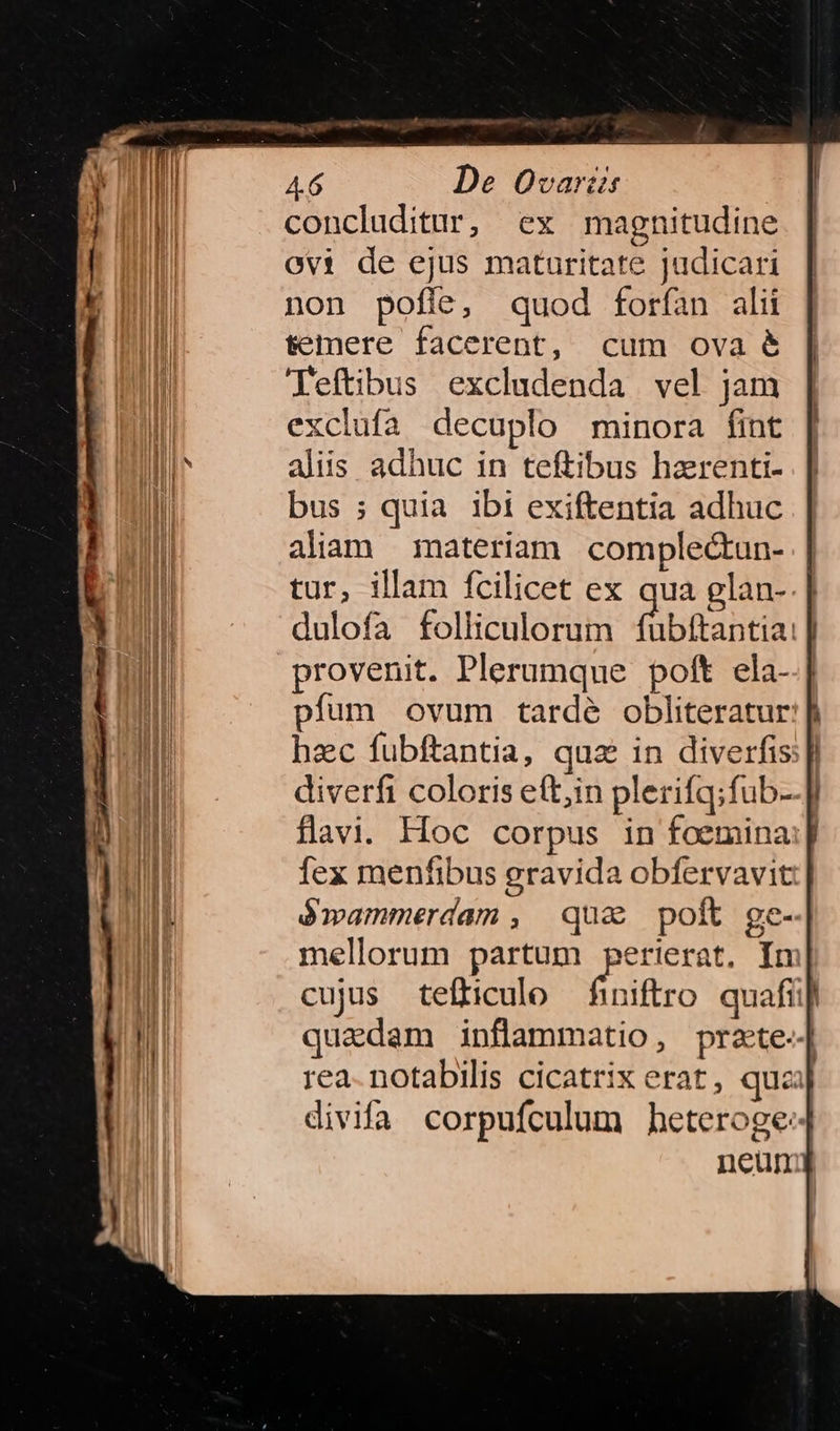 concluditur, ex magnitudine ovi de ejus maturitate judicari non pofle, quod forfan alii temere facerent, cum ova &amp; Teftibus excludenda vel jam exclufa decuplo minora fint alis adhuc in teftibus hzrenti- bus ; quia ibi exiftentia adhuc aliam materiam complec&amp;tun- | tur, illam fcilicet ex aua glan-.| dulofa folliculorum fubftantia: provenit. Plerumque poft ela- pfum ovum tardé obliteratur: cujus tefficulo finiftro. quafi] quadam inflammatio, przte-. rea. notabilis cicatrix erat, quz divifa corpufculum heteroge- neun