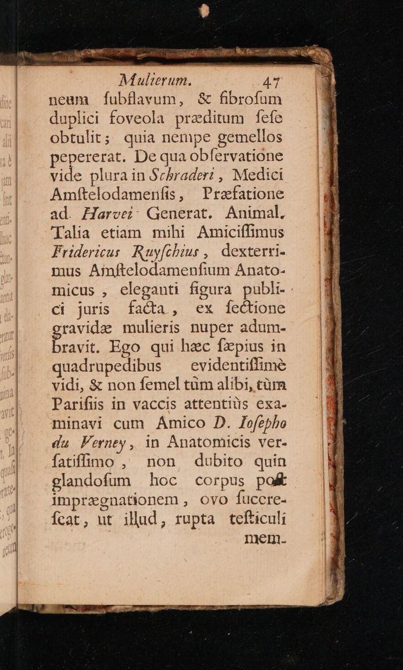 $ Mg ORTA us: * e. Le ic l di € Vuguti ge eo. Wc em aos qe . n Miulterum. AT | peam fubflavum, & fibrofum | . duplici foveola praeditum fefe | obtulit; quia nempe gemellos pepererat. De qua obfervatione vide plura in Schrader: , Medici Amítelodamenfis, Prafatione ad. Harvei; Generat. Aniumal. tH 'lalia etiam mihi Amiciffimus a Fridericus Ruyfchius ,, dexterri- : mus Amítelodamenfium Anato- | micus , eleganti figura publi. | ci juris facta, ex f[fectione ravida mulieris nuper adum- bravit. Ego qui haec fzpius in quadrupedibus evidentiflimé vidi, & non femel tüm alibi, tüm Parifüs in vaccis attentiüs exa. minavi cum Amico D. Jofepho | du Ferney, in Anatomicis ver- | .fatiffümo , non, dubito quin | elandofum hoc corpus po& | imprzgnationem, ovo fuccre- | Ífcat, ut illad, rupta tefticuli | | : nem.