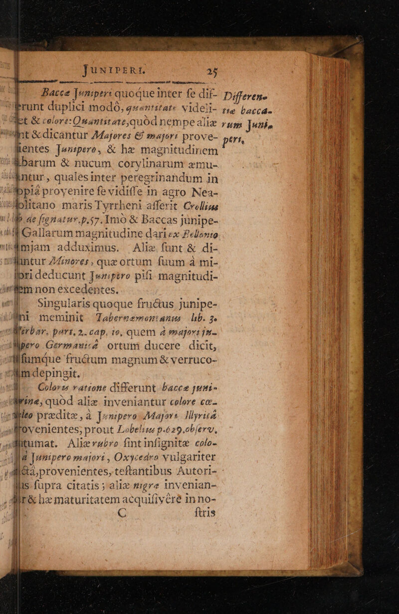 m E JusirpiR 25 U reani tores mosflrapdisum S. Opiefnegpi dace ee is Lace Tunipert quoque inter fe dif- Differen- frunt duplici modo, g«antitaté videli- re bacca- Uet &amp; colore: Onantitetequód nempealie rg ]uni- | EA i &amp; dicantur Majores € 2ayort prove- pert i n Bentes [anpere, &amp; hz magnitudinem :Sbarum &amp; nucum corylinarunr emu-. TOR T Inu, qualesinter peregrinandum in An 5pia proyenire fe vidiffe in agro Nea- hon itblitano maris Tyrrheni alteri Crellisas l ul b ae fugnatur.p.s7. Imo &amp; baccas j junipe- | n illGallaru m magnitudine dariex Felleno MI i4 mjam adduximus. -Aliz funt &amp; di- | om t-:antur Z/eres ; que ortum fuum à mi- li Ipri deducunt Twaiptro pifi: magnitudi- ilem non excedentes. É. Singularis quoque fru&amp;us junipe- ili meminit Tabernemomianus lib. je elifirbar. part. 2 L.CAp, 19, Quem 4 smajovi jn- Mpevo Germawi-d ortum ducere dicit, ulfumque fru&amp;um magnum &amp; verruco- Mm depingit. Ii M... Colores ratione differunt. Pacco piti - i Wire, quod aliz inveniantur celere 6t m alto predite , à à Jumipero Majore Mlyri itt | | JEDE ,dMfov 'enientes; prout Lobelin p.é29.objerv, 2E. n Mitumat. Alierabro fintinfignite cofo- m Ma Iwnipero zmayort , Oxycedro v ulgariter JU D i JG proven: entes, teftantibus Autori- dis fupra citatis; alie mgre invenian- . Ar bac maturitatem acquifivere in no- pU ! C ftris | nd a Sx i | : A j