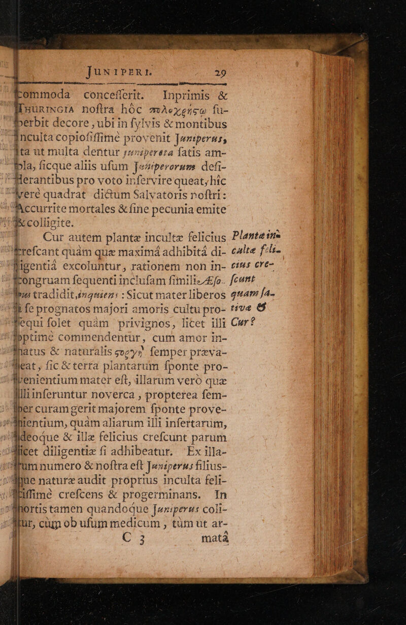 Jusipbzni. Ln t Diinmodi concefferit. Inprimis &amp; IlluuniNGIA noftra hóc mAexglist fu- lperbit d lecore , ubi in fyIvis &amp; montibus inculta copiofiffimé provenit ]eniperus; ]ta ut multa dentur 4 ibereta fatis am- | p! la; ficque aliis ufum Jectiperorum: deti- Werantibus pro voto irfervire queat;hic rere quadrat di&amp;um Salvatoris noftri: :Mccurrite mortales &amp; fine pecunia emite ng Ik colligite. | [rome commendentur , cum amor in- fhatus &amp; naturalis sozys ' femper preva- da fic &amp; terta plantarum fponte pro- T 'enientium mater eft, illarum veró quz lllliinferuntur noverca , propterea fem- - curam gerit majorem fponte prove- j Aientium,q quam aliarum illi infertarum, »illdeoque &amp; illa felicius crefcunt parum Ih. diligentie fi adhibeatur. 'Ex illa- qium numero &amp; noftra eft Jesiperus filius- ue naturz audit proprius inculta feli- iffimé crefcens &amp; progerminans. In lortis tamen quandoque Juniperus coli- r, cuf ob ufum medicum , tum ut at- m gigs TÓ— e