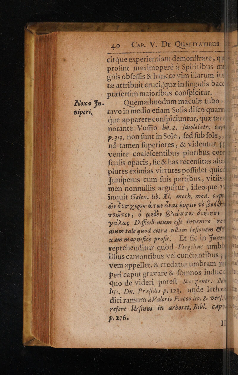 4  : TM , $^ Aoc xe e d. - » ^m Ü P E i  4 -— - 1 40 . Car. V. De Quartrarius a —— oÓÓ—— citque experientiam demonftrare , qn» rofint maximopere à Spiritinus mmu enis obfeffis &amp; hancce vimillarum 3 tz attribuit cruci; que in fingulis bac praefertim majoribus confpicitur. INoxa Ta- Quemadmodum macule tubo. |t piptri — tavo in medio etiam Solis difco quam que apparere conipiciuntur, que tari notante Vofhio Isb. 2. Jdiolelatr, Cái p.i. non funt in Sole , fed füb fole, JUR | ná tamen fuperiores , &amp; videntur. |j THUUIE | venire coalefcentübus pluribus com: TETUR fculis opacis , fic &amp; has recenfitas al1i21« Mn plures eximias virtutes poffidet quic Wr  juniperus cum fuis partibus , vitiiss| m men nonnullis arguitur , ideoque NJ unt inquit Galer. lib. Xf. meth, sed, capp DC &amp; uc xseee ocv eaa Euge T0 Doro | qUIS TOV , O (hnOEV dar v ov PTUTIDYT H yct Aoc Diff: mum effe invemme rt a diu tale quod cura vlla lefionens 687b xam maenfie prof; Et fic in june 1M reprehenditur quód -Pergilue umb^peu Ir Il illius cantantibus vel cunctantibus j [e | | vem appellet, &amp; credatur umbram juri m peri caput gravare &amp; fomnos induc:»«: ! quo de videri poteft Sce zener.- vw i lif;; Dn. Prefmdis p. 123. unde letha4$u Wu dici ramum à alert Flacco ab, $« verf Mo Lt refert. lir[isa. $m. arboret, Bibl, capite qui p.276. J|