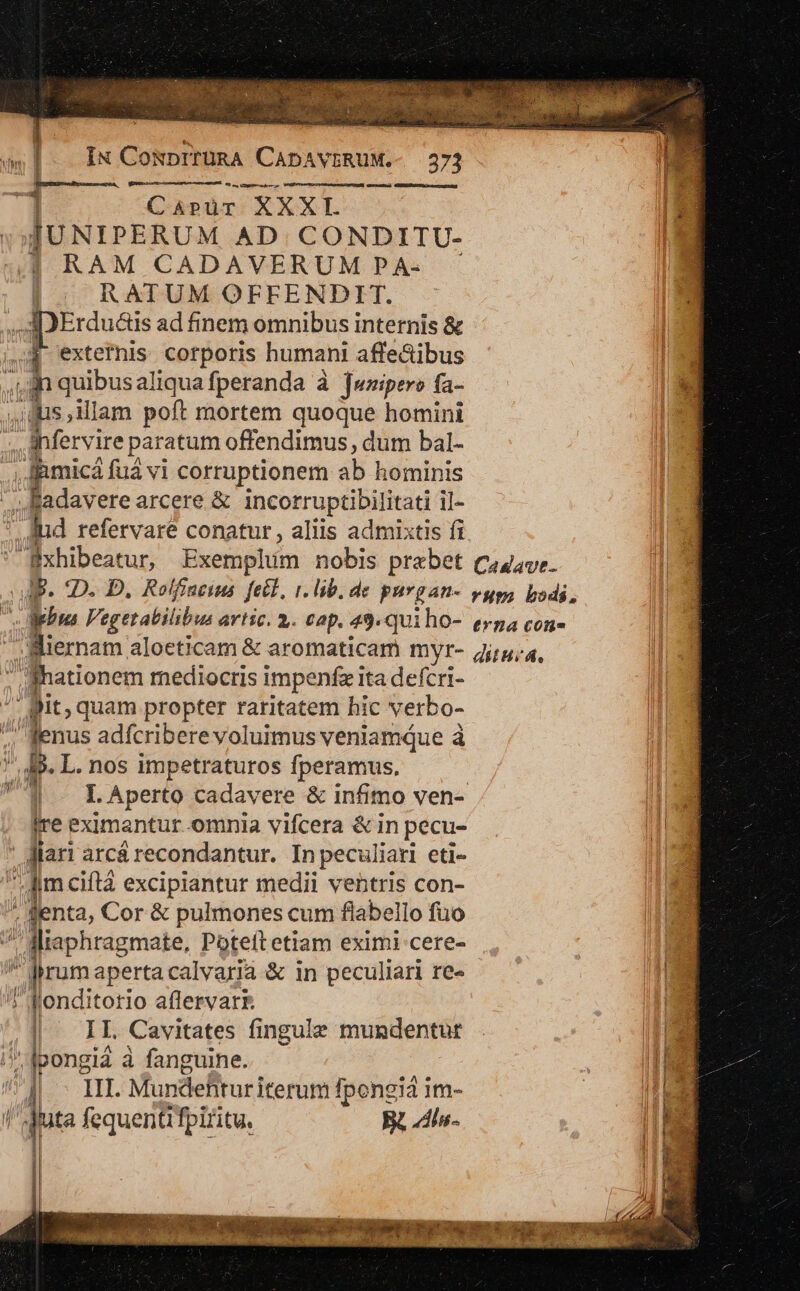 IN CoxprrüRA CADAVERUM. 3 CaApür XXXI. JUNIPERUM AD. CONDITU- | RAM CADAVERUM PA- — |. RATUM OFFENDIT. «d Erducts ad finem omnibus internis &amp; extetnis. corporis humani affectibus f quibus aliqua fperanda à jwzipero fa- ,,ds,ilam poft mortem quoque homini Ly Levi ire paratum offendimus , dum bal- Jfimicá fuá vi corruptionem ab ] hominis M we erearcere &amp; incorruptibilitati il- ' lud refervare conatur, aliis admixtis fi Bxhibeatur, Exemplum nobis praebet dp. 2D. D. Rolfincius fecl, 1. lib. de purgan- b phu egerabiliba artic. 2. tap. 49.qui ho-  Biernam aloeticam &amp; aromaticam myr-  nationem mediocris impenfz ita defcri- , pit quam propter raritatem hic v erbo- fenus adfcribere voluimus veniamque à ? 4B. L. nos impetraturos fperamus. | LAperto cadavere &amp; infimo ven- Ire eximantur omnia vifcera &amp;in pecu- ' Mari arcá recondantur. In peculiari eti-  fim ciftá excipiantur medii ventris con- j jenta, Cor &amp; pulmones cum flabello fuo i lliaphragmate, Poteftetiam eximi cere- drum apertacalvaria &amp; in peculiari re« : J'enditorio aflervark | — IL Cavitates fingule mundentur J^ Ipongia à fanguine. ^I. II. Mundeftur iterum fpongià im- ee fequenti fpiritu. B dhs- 2x —   (d s P Ye 36:35 oh GE AGE S ERRIRE iae pet : Tw ; ( A» : ri DN D o M. p MEC ^ fip Cadavt. vua bods, erna con» ditur,