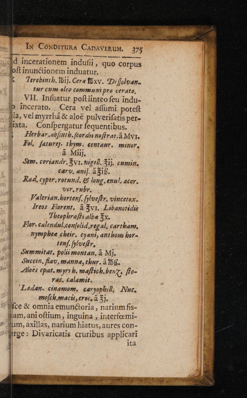 j Iu Cóxubrruna CapavERuM. 275 4Bd incerationem indufii , quo corpus loft inunctionem induatur. &amp; — Terebimb. bij. Cera Vixv. Di Jffolvan.. tur cum eleo communi pro cerato, VH. Infüatur poftlinteo feu indu- |D incerato. | Cera vel affumi: poteft . Ia, vel myrrhá &amp; aloe pulverifatis per» Nixta. |. Confpergatur fequentibus. po Herbar.abfiath.feorda nofirat.à Myr. | P, faturtj. tbym. eentaur. minor, 4 Mii, tm. coriandr, $1. tágell. $3, cumin. tarv, ani]. ÀASME. Rad, cyper.votund, long. enul. acor. ver. rubr... Valerian.bortenf, fyhveflv, vincetox. dreos. Florent, à $vi, Libanotidis Theephraffi albe Sx. Flor. calendul.confolid, regal, cartham, nymphee cheir. cyani, antbous bor- tenf. fylveftr, || 2 Summitat, poliimontan, à Mj. T óbeccin, flav, manne, tbur. ATb(. Mb c lees epat. myrr i. maftich.beny, fta- 1 rác, Calamat. Ladan. cinamom, caryophill; | Nue. | | mo[ch.enacta, eroc, à 5]. a fce &amp; omnia emunctoria , narium fis- llam, ani oftium , inguina , irterfoemi- ' alum, axillas, narium hiatus, aures con- i Mrge ; Divaricatis cruribus a pplicari T ita vM NS C
