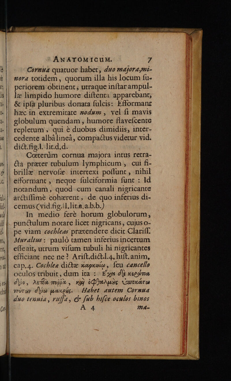 ANATOMICUM. Cornua quatuor habet, duo »ajoraymi- 70r4 totidem , quorum illa his locum fu- periorem obtinent; utraque inítar ampul- lz limpido humore diftenta apparebant; &amp; ipía pluribus donata fulcis: Efformanr hzc in extremitate z0odwz , vel fi mavis globulum quendam , humore flaveícente replecrum , qui € duobus dimidiis, inter- cedente albálineá, compactus videtur vid. di&amp;t.fig.l. lic.d.d. Coeterüm cornua majora intus retra- &amp;a prater tubulum lymphicum , cui fi- brille: nervofze. intertexi. poflunt , nihil efformant , neque fulciformia funt : ld arctiffimé coherent, de quo inferius di- cemus (vid.fig.il,lic.a.a.b.b.) ]n medio feré horum globulorum, punctulum notare licet nigricans, cujus o- pe viam cechlees praxendere dicic Clariff. Mura4ltus :: pauló tamen inferius incertum efleait, utrum vifum tubuli hi nigricantes efficiant nec ne? Arift.di&amp;.l.4, hift; anim, cap.4. Cochlee dictae xapkwio , eu. cancello oculos tribuit, dum ita : «| Eva dli xsez ma dijo, As7Ha 7Vjb , «gj ócpooNude xrzroxéor tà voray d|jm paxpsc. | Habet autem. Cornua duo tennia , rufa, e fub bifce ocules binas A 4 ?94-