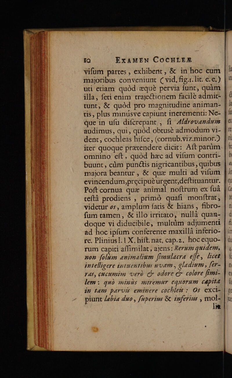 vifum partes , exhibenr, &amp; in hoc cum | majoribus conveniunt ( vid. fig.t. lit. e.e.) | uti etiam quód «qué pervia funt, quàm | illa, feti enim trajectionem facile admit- | ! tunt, &amp; quód pro magnitudine animan- | tis, plus minusve capiunt ineremenu: Ne- | que in ufu difcrepant., fi A/droevandum | audimus, qui, quód obtusé admodum vi- | dent, cochleas hifce, (cornub.viz.minor.) | iter quoque pretendere dicit: Aft parüm | omnino eft, quód bac ad vifum contri- buunt, cüm punctis nigricantibus, quibus majora beantur , &amp; que multi ad vifum | evincendum,precipueurgent;deftituantur. Io Poft cornua que animal noftrum ex fuá |: teftà prodiens , primó quafi monftrat,. videtur 2, amplum fatis &amp; hians, fibro- | fum tamen, &amp; illo irritato, nullà quan- | doque vi diducibile, multàm adjumenti | ad hoc ipfum conferente maxillà inferio- | re. Pliniusl.1 X. hift. nac, cap.z. hocequo- rum capiti affimilat, ajens: Rergom quidem, non folum animalium fimmulacra effe, licet. intelligere intuentibus wvam , gladium , fer- yas, eucumim veró ci adore e colore fimi- | lem: quà miuus miremur equorum cApitA ip tam parva eminere cochleis : Os exci-. piunt /eb£a duo , feperius &amp; énferias , ui [