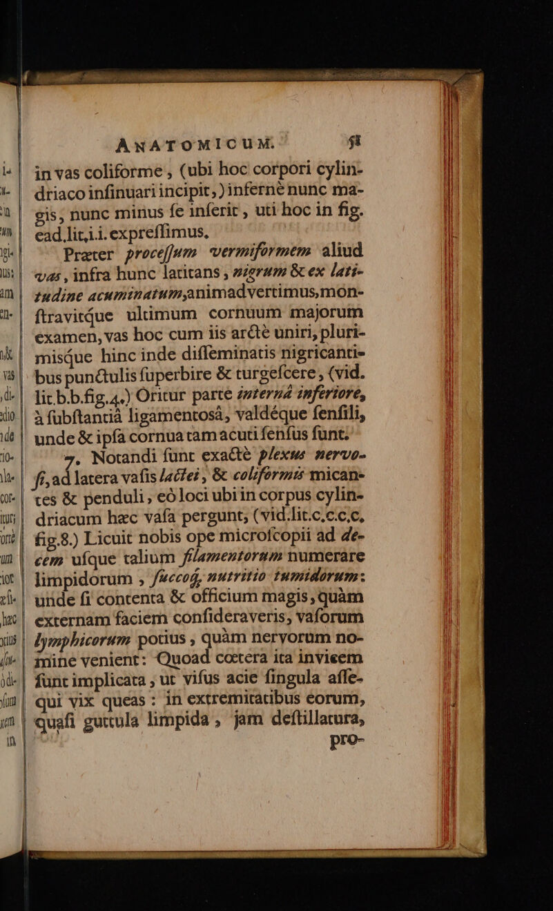 in vas coliforme , (ubi hoc corpori cylin- driaco infinuari incipit; ) inferné nunc ma- eis, nunc minus fe inferit , uti hoc in fig. ead lit,i.i.expreffimus, Praeter proceffum vermiformem aliud va: , infra hunc latitans , seram &amp; ex lati- 1udine acumtinatumyanimadvertimus,mon- ftravitdue uliimum cornuum majorum examen, vas hoc cum iis arcte uniri, pluri- misQue hinc inde diffeminatis nigricanti- bus pun&amp;tulis fuperbire &amp; turgefcere , (vid. lit b.b.fig, 4.) Oritur parte iwzerna inferiore, à fübftantià ligamentosa, valdéque fenfili, 7. Norandi funt exa&amp;te plexus mervo- ff; ad latera vafis lacfei , &amp; coliforz* mican- driacum hzc váfa pergunt, ( vid.lit.c.c.c,c, fig.8.) Licuit nobis ope microfcopii ad de- unde fi contenta &amp; officium magis,quàm externam faciem confideraveris, vaforum iine venient: Quoad coctera ita invieem qui vix queas : in extremitacbus eorum, quafi guttula limpida , jam deftillatura, pro-