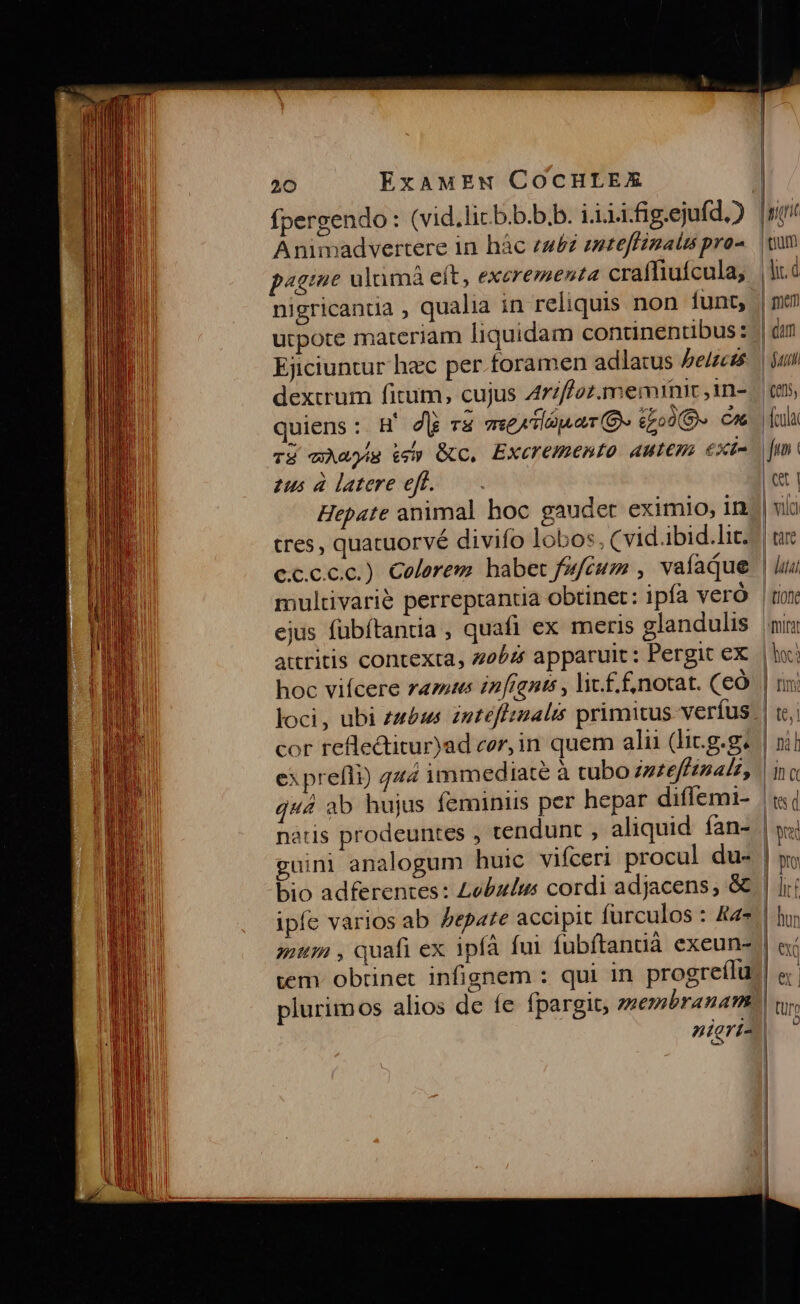 Animadvertere in hác eau£z zuteffimalu pra- p«gme ulumà eít, excrementa craffiuícula, Ejiciuntur hec per.toramen adlatus Pe/zezs dextrum fitum, cujus 477//02.memimic 1n- quiens: B' dli r&amp; mA laua (Be egod» Cn TE wAapis wh» (c, Excremento autem exi £us à latere eft. Hepate animal hoc gaudet eximio, in cres, quatuorvé divifo lobos, Cvid.ibid.lit. cc.ccc.) Colerezm habet fufcum , vafadue multivarie perreptantia obtinet: ipfa veró ejus fübítantia , quafi ex meris glandulis attritis contexta, 2054 apparuit: Pergit ex ex prefli) 444 immediate à tubo zzzeffinadz, quá natis prodeuntes , guini analogum huic vifceri procul du- | dam | ati | 015, Hula fin Qt | | vilà | tare tIofe irat