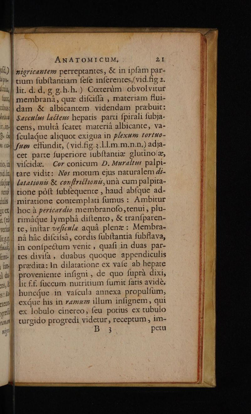 d) | l je | IM funny ANATOMICUM, 2I niericantem perreptantes, &amp; in ipfam par- tium fübítantiam fefe inferentes.(vid.fig 2. li. d. d, g. g.h.h. ) Coeterüm | obvolvitur membraná, qua difciíla , materiam flui- held (A » |. JN OU] !; xo 10, 10d! Sacculus lacienms hepatis para fpirali fubja- cens, multà fcatet materià albicante, va- ículaQue aliquot exigua in p/exwm. tortuo- fem. effundit, ( vid.fig.3.ll.m.m.n.n.) adja- vifcidae. | Cer conicum D. Maraltris palpi- iul datatzonts &amp; conffrictionzs, unà cum palpira- tà f| tione póft fubfequente , haud abfque ad- lis [-miratione contemplati fumus : Ambitur ic hocà perzcardio membranofo, tenui , plu- i0] rimádue lymphá diítento, &amp; traníparen- «i te, inftar vefres/e aquà plene : Membra- iisjd] nà hàc difcifsà, cordis fubftantia fubflava, inl) in confpe&amp;um venic, quafi in duas par- mill tes divifa, duabus quoque appendiculis f] y: M qe predita: In dilaratione ex vafe ab hepate proveniente infigni, de quo fuprà dixi, | lic ££. fuccum nutritium fumi fatis avide, huncQue.in vaícula annexa propulfum, exque his in zazzz illum infignem, qui ex lobulo cinereo, feu potius ex tubulo turgido progredi videtur, receptum , 1m- D 3 peru