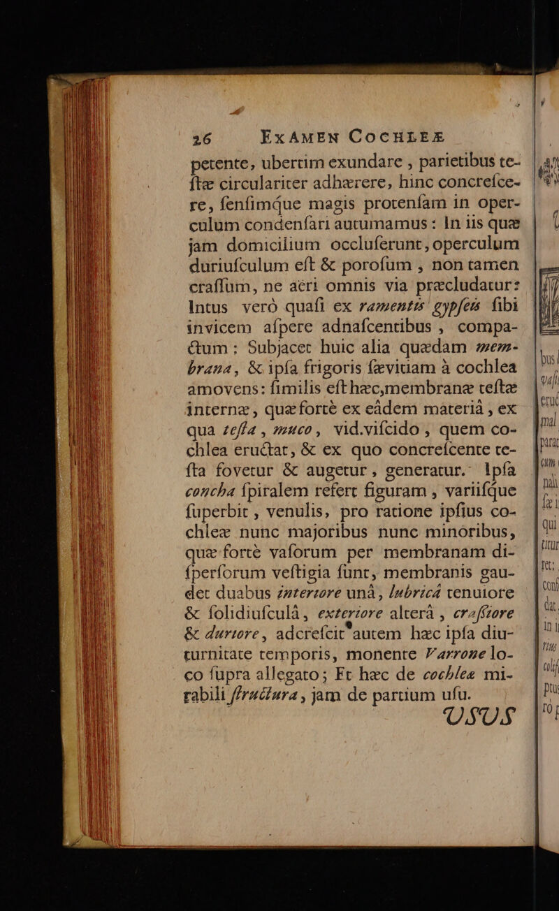 petente, ubertim exundare , parietibus te- fte circulariter adhaerere, hinc concreíce- re, fenfimQue magis proteníam in oper- culum condenfari autumamus : In iis quae jam domicilium. occluferunt, operculum duriufculum eft &amp; porofum , non camen craffum, ne aeri omnis via precludatur: Intus veró quafi ex zementis gypfes. fibi invicem aípere adnafcentibus , compa- &amp;um : Subjacet huic alia quedam ez- brana, &amp; ipía frigoris fzviuam à cochlea amovens: fimilis efthzc,omembranz tefle internz , que forté ex eàádem marerià , ex qua zeffa , z4c0, vid.vifcido , quem co- chlea eru&amp;tat, &amp; ex quo concreícente ce- fta fovetur &amp; augetur, generatur. lpía concha Ípiralem refert figuram , variifque fuperbit , venulis, pro ratione ipfius co- chlez nunc majoribus nunc minoribus, quz forte vaforum per membranam di- (perforum veftigia funt, membranis gau- det duabus zzterzore unà, Iubrica tenuiore &amp; folidiufculà, exzerzere alterà , erffzere &amp; duriore , adcrefcit autem hzc ipfa diu- turnitate temporis, monente 'arroze lo- . co fupra allegato; Ft hec de coc//es mi- rabili f/ruciura , jam de partium ufu. QS US